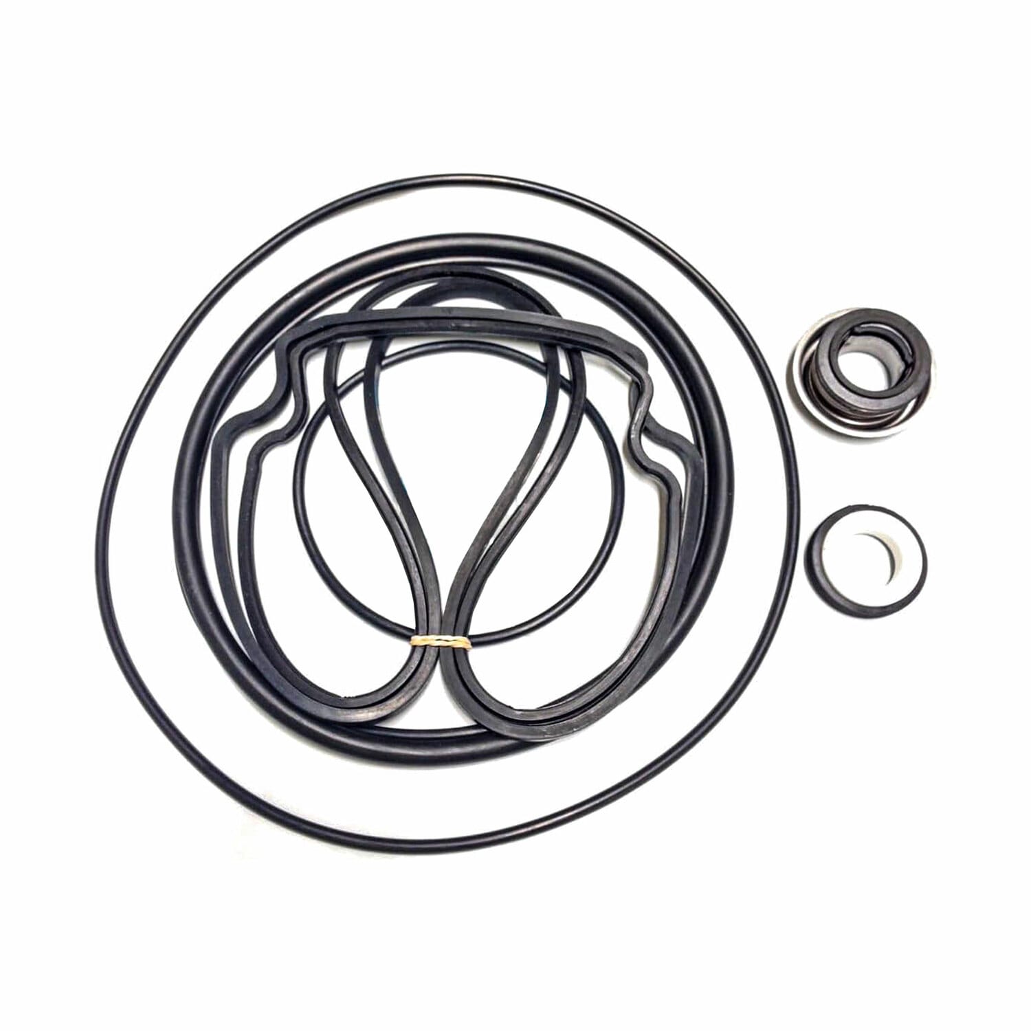 Pentair Pentair 357102 Pump Seal and O-Ring Replacement Kit for ...