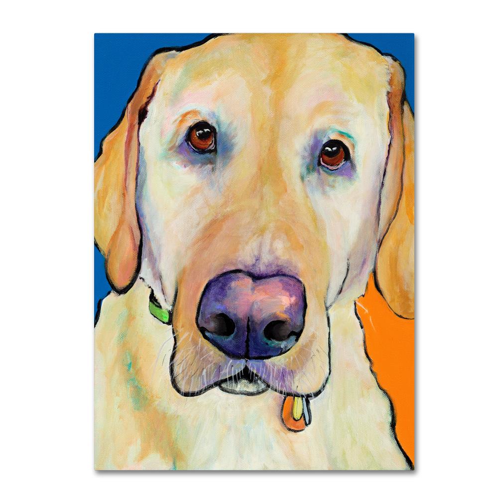 Trademark Fine Art PS00231-C1419GG Framed 19-Inches H x 14-Inches W Animals Canvas Print