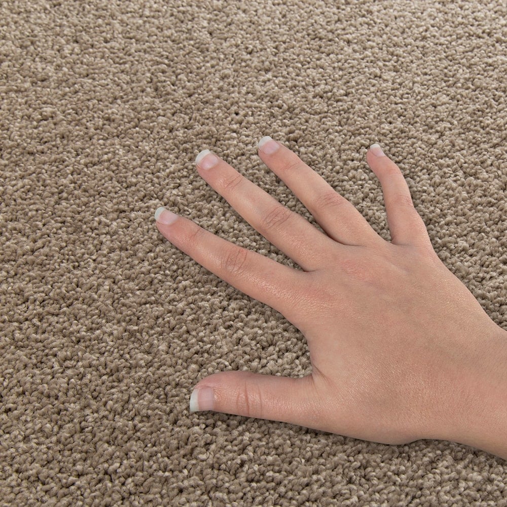 Style Selections SS016-L007-0808 Carpet-Samples - View #4