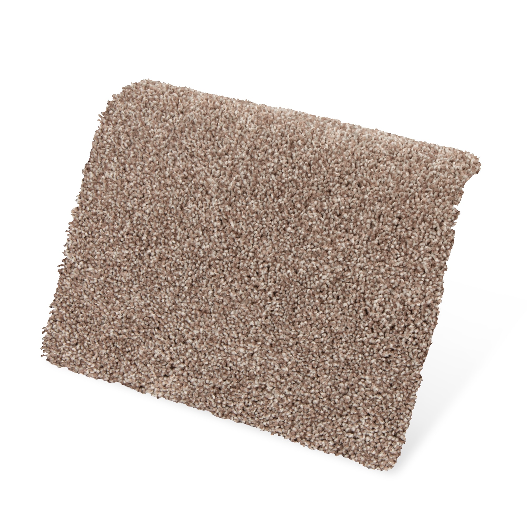STAINMASTER PetProtect SS021-L009-0808 Carpet-Samples - View #3