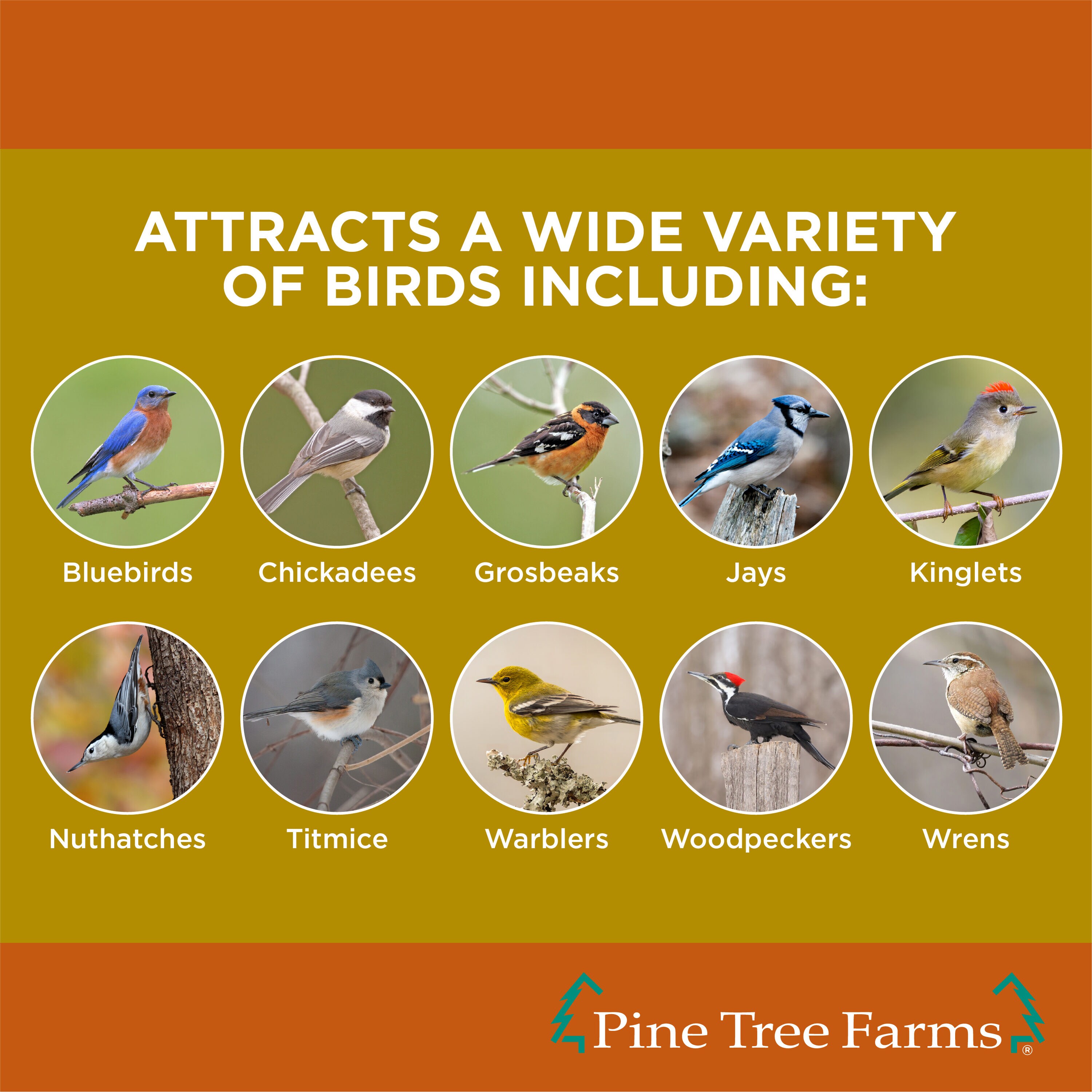 Pine Tree Farms 2997151 Bird-Squirrel-Food - View #5