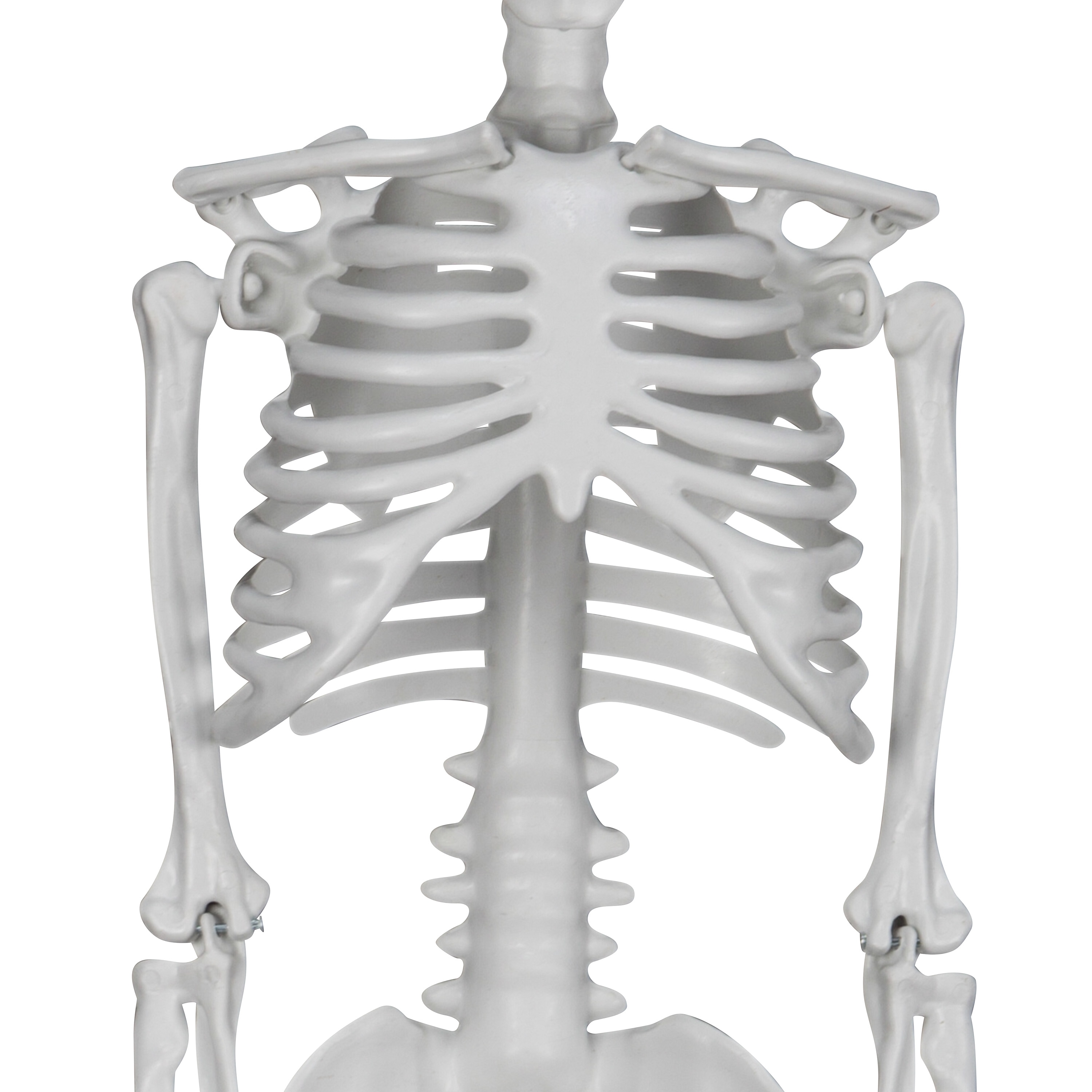 Haunted Living 554574 Table-Halloween-Decor - View #3