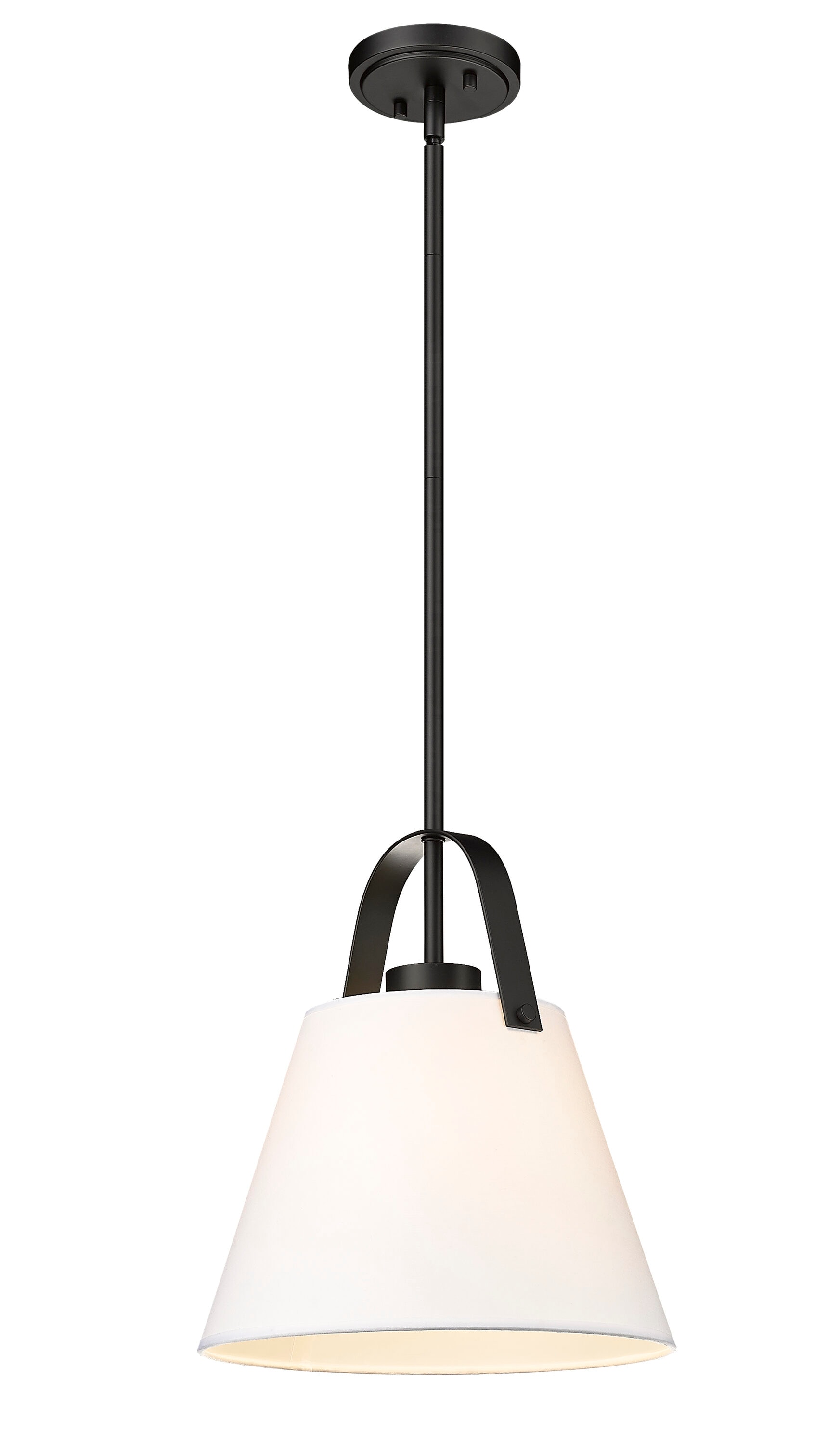 Z-Lite 743P12-MB Pendant-Lights - View #5