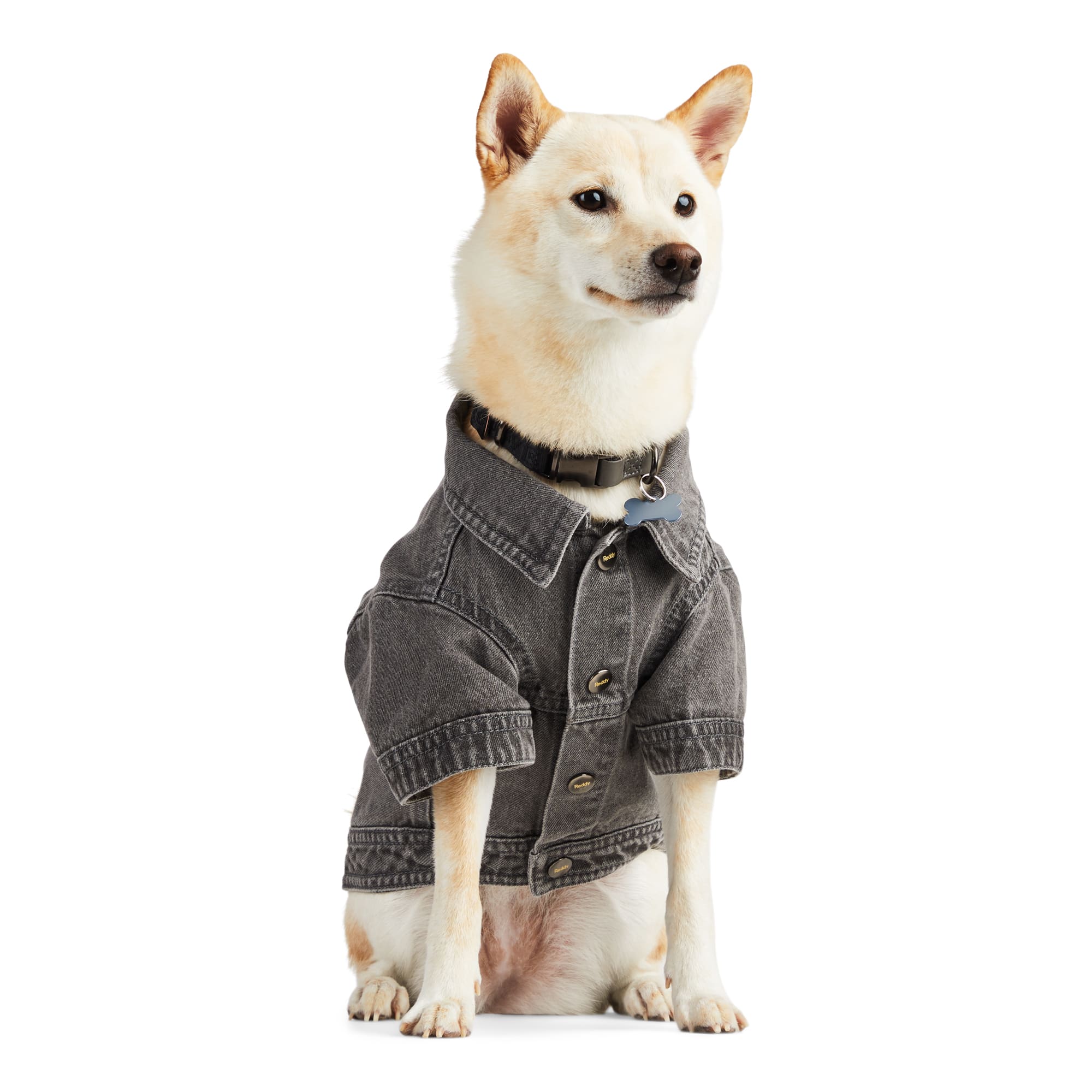 Reddy PTY-23050120MD Dog-Clothing-Acc - View #2