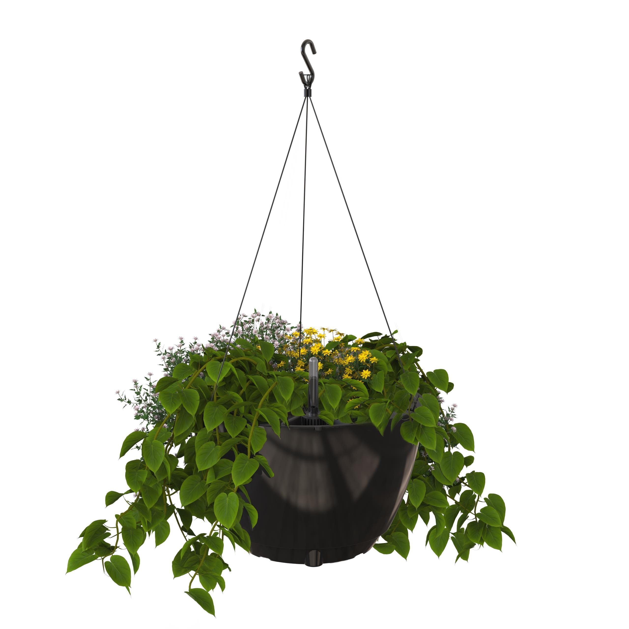 Mayne 3885-B Round 14-in W Medium Black Plastic Contemporary/Modern Indoor/Outdoor Hanging planter with Drainage Holes with Self Watering