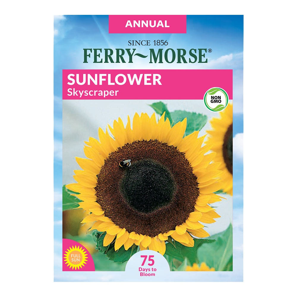 Ferry-morse Sunflower Skyscraper Seeds (seed Packet) 3-gram At Lowes.com