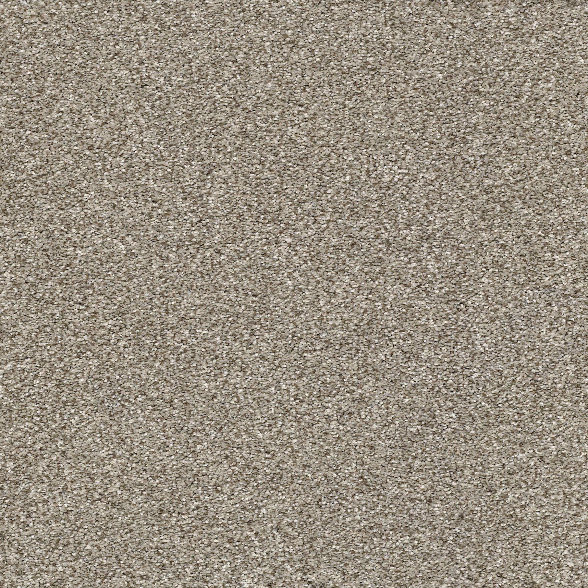 STAINMASTER 7L80100108 Carpet-Panel - View #2