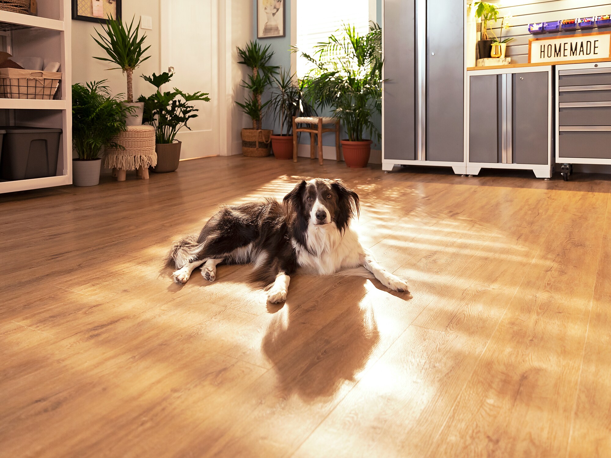 NewAge Products 12461 Vinyl-Plank - View #13