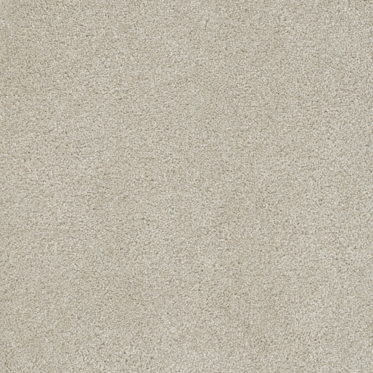 STAINMASTER L5014-1208-0808 (Sample) Joyful Sound III Birdsong Off-white 65-oz sq yard Solution-dyed polyester Textured Indoor Carpet