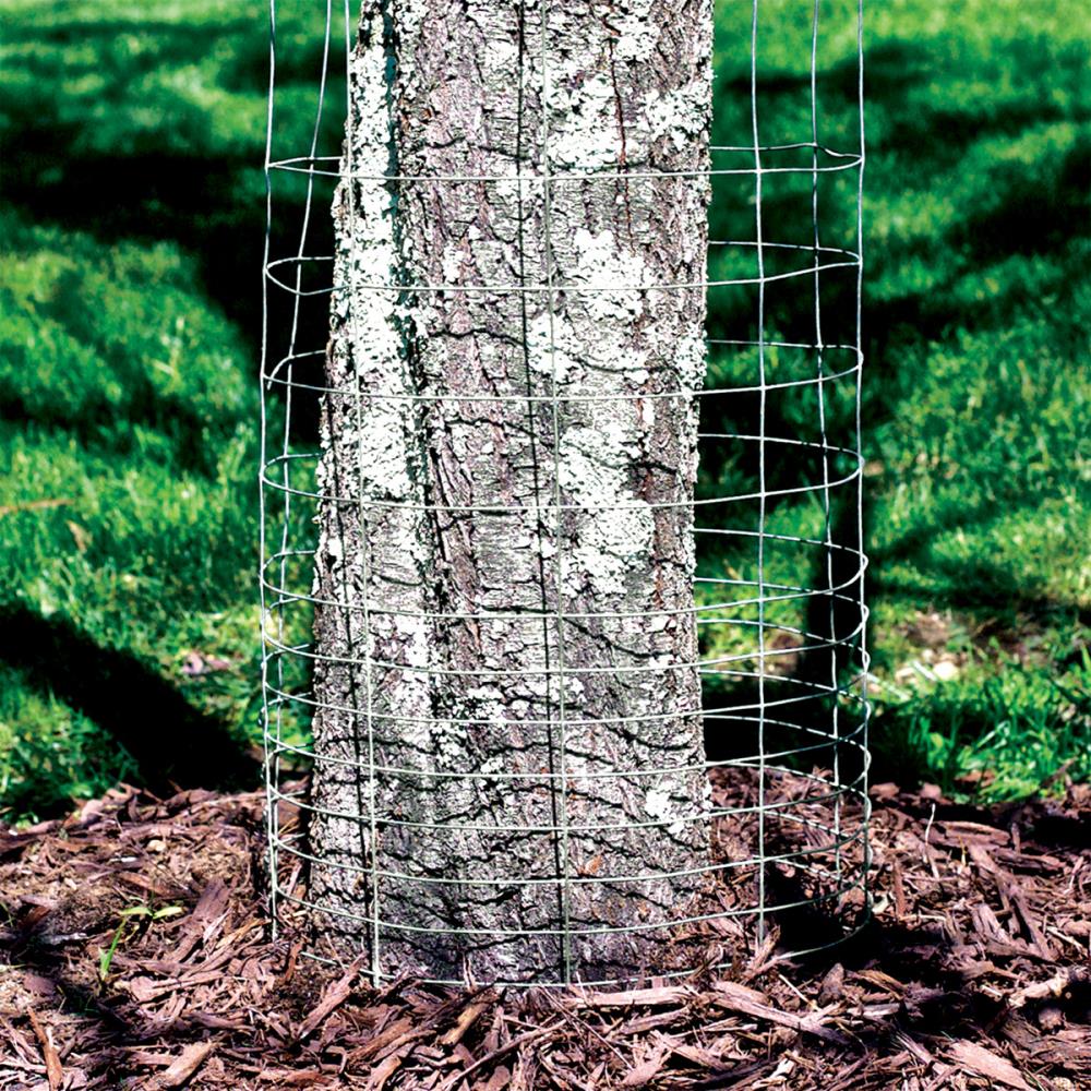 GARDEN CRAFT 50-ft x 3-ft Gray Steel Chicken Wire Rolled Fencing with Mesh  Size 1-in in the Rolled Fencing department at