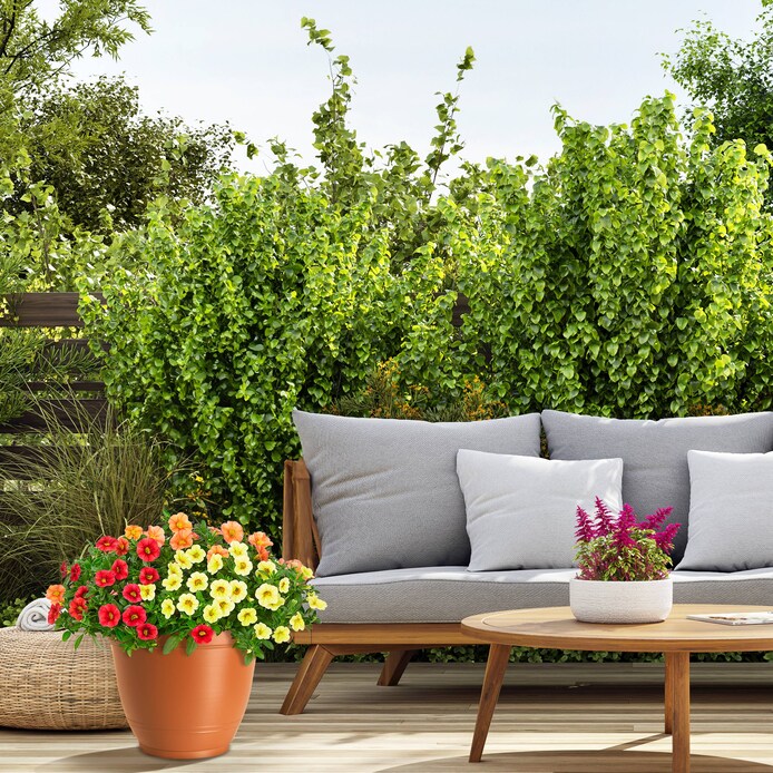 Style Selections   - View #5