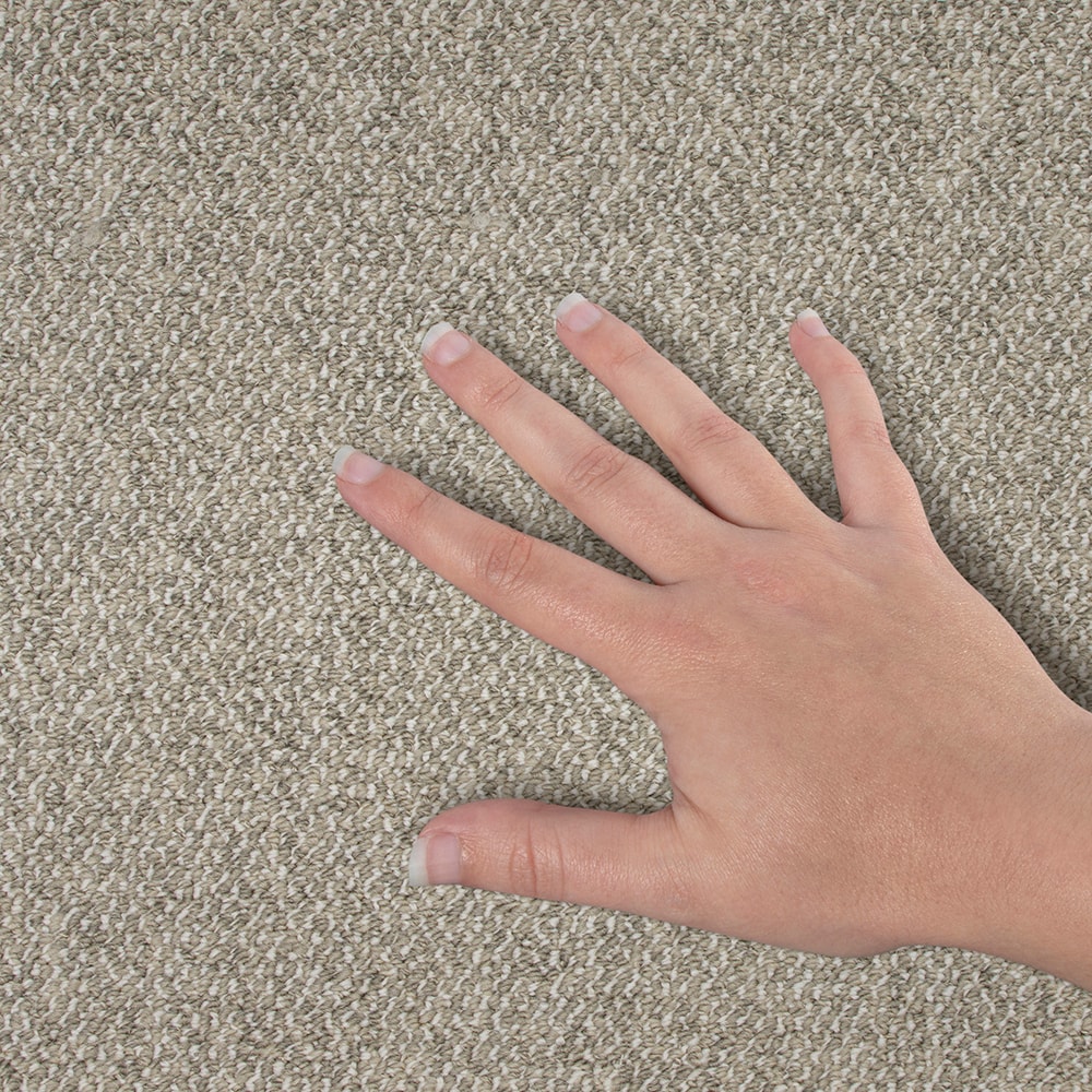 STAINMASTER SS084-12-L005 Carpet-Panel - View #4