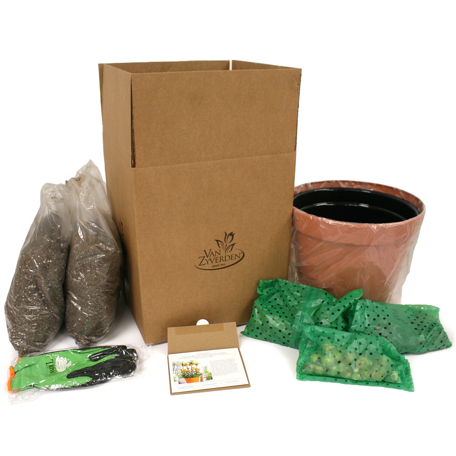 Van Zyverden 87323 Plant-Bulbs - View #5
