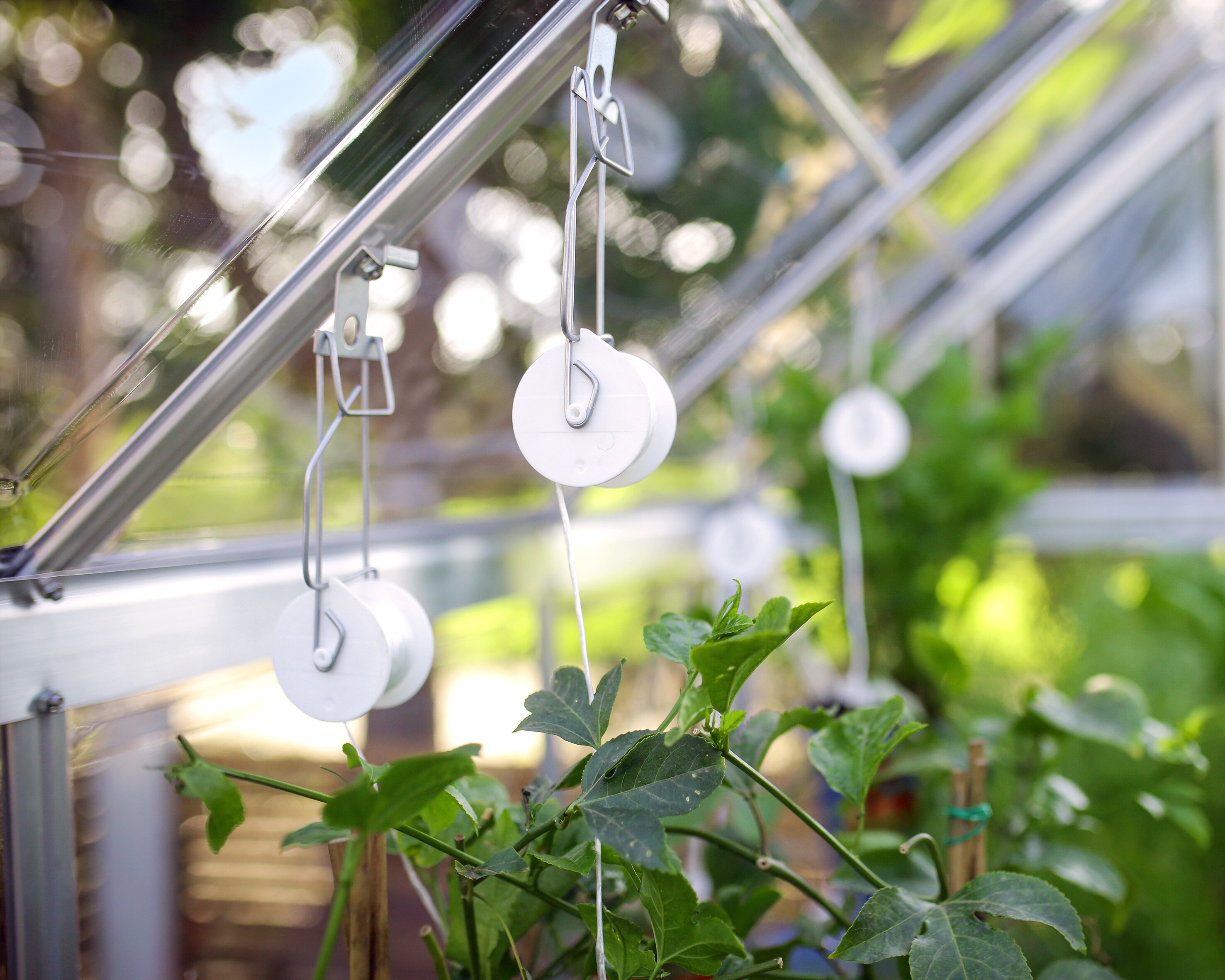 Canopia by Palram 702420 Greenhouse-Vent-Openers - View #12