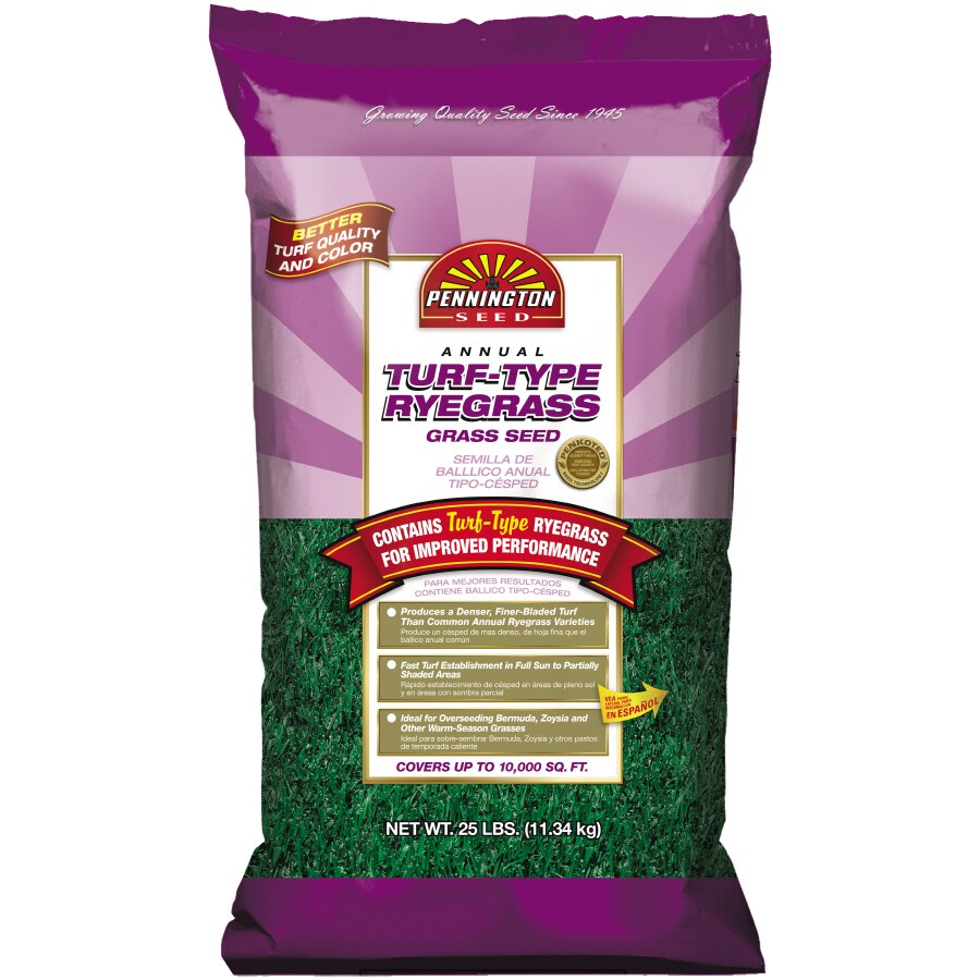 Pennington 184135 25-lb Annual Ryegrass Grass Seed