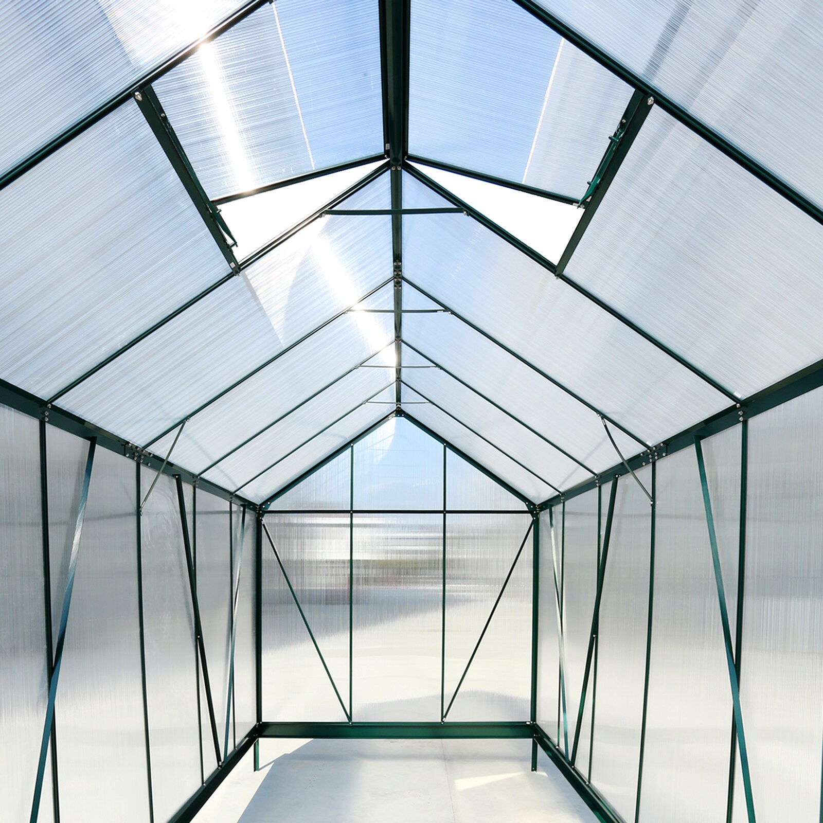 Poinic CURDS-S00075-465 greenhouses - View #12
