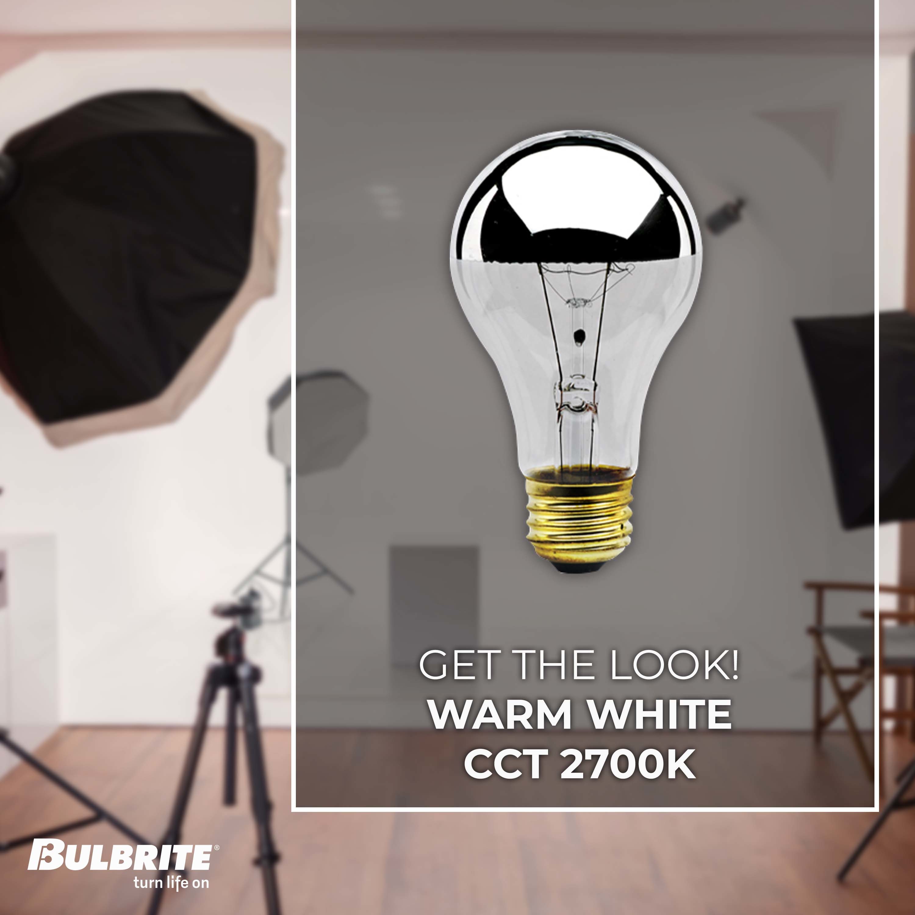 Bulbrite 861265 Dec-Led-Light-Bulbs - View #2