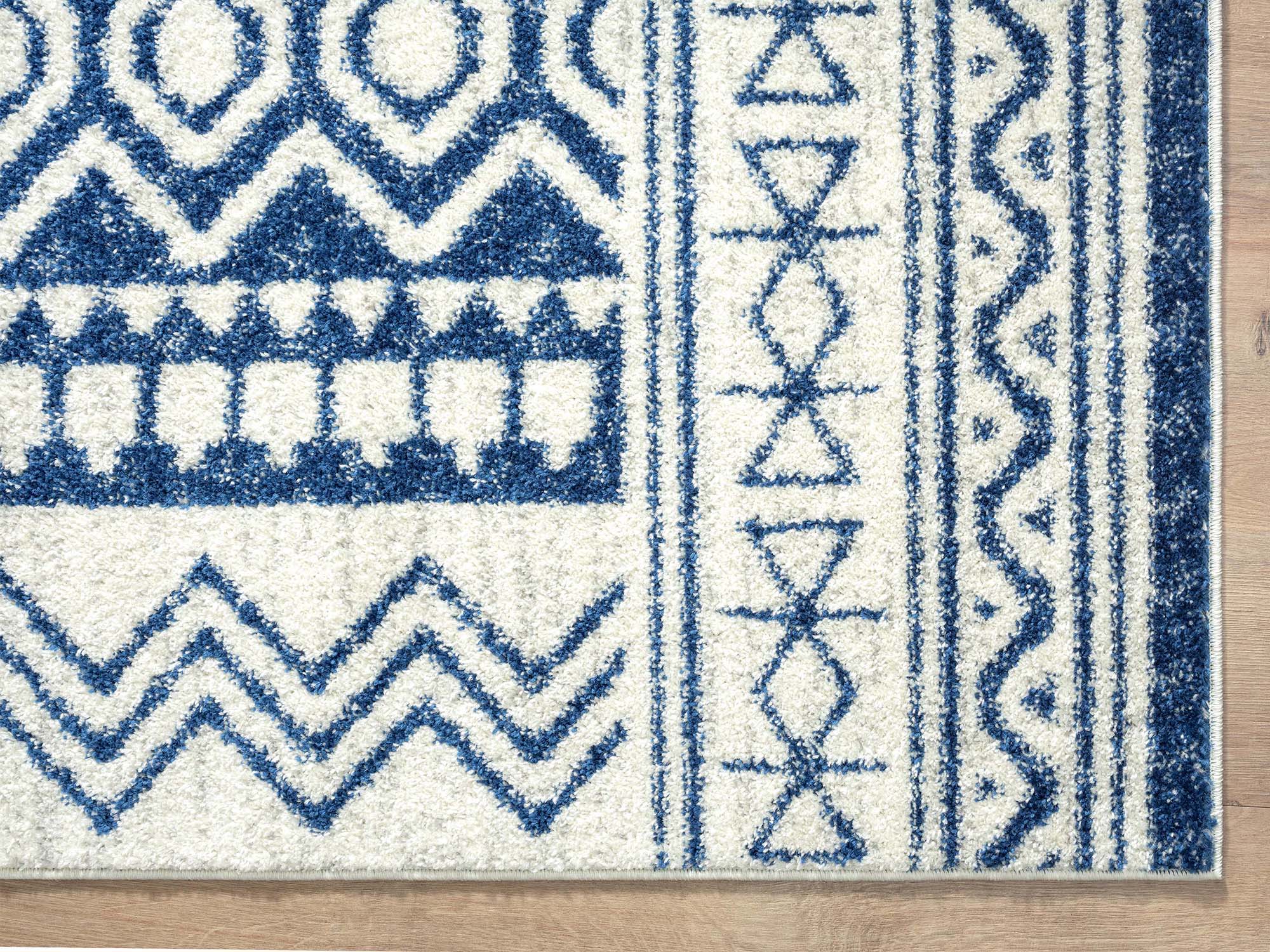 Abani Rugs CAS220A-6 rugs - View #3