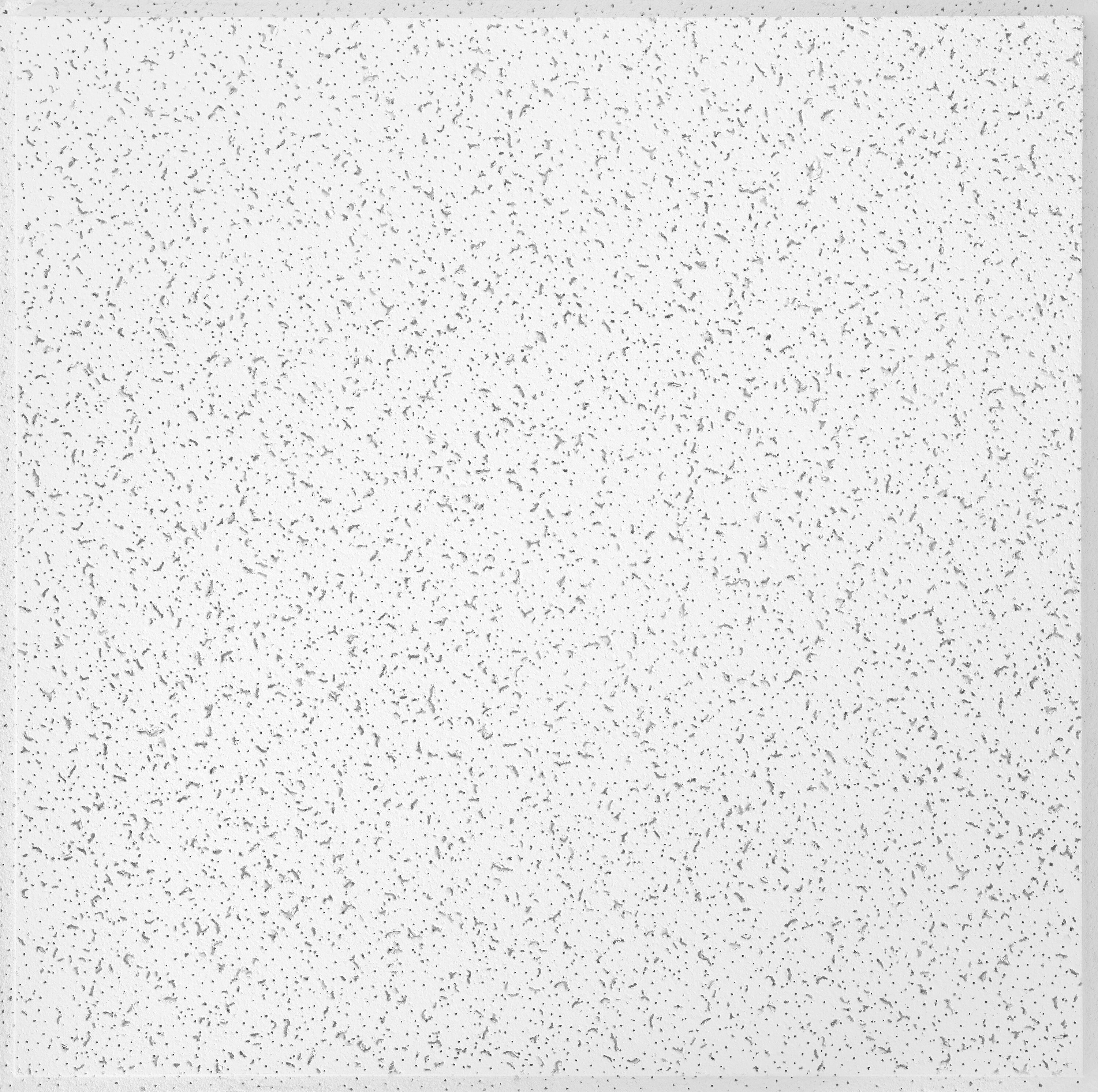 Armstrong Ceilings SC934A 2-ft x 2-ft Random Textured Contractor White Mineral Fiber Drop Ceiling Tile (4-Pack, 16-sq ft / Case)