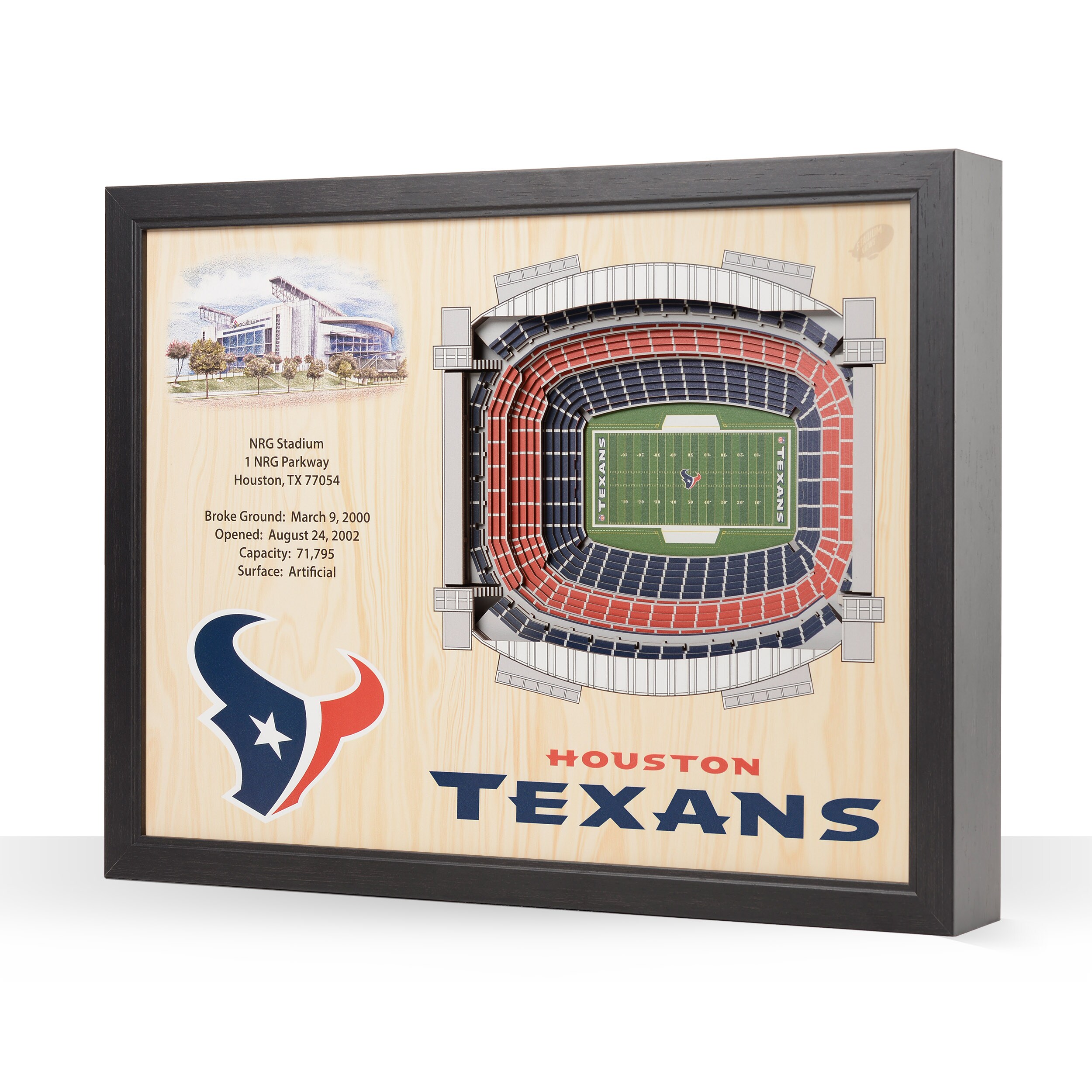 StadiumViews Houston Texans Youthefan Team Colors Floater Frame 13