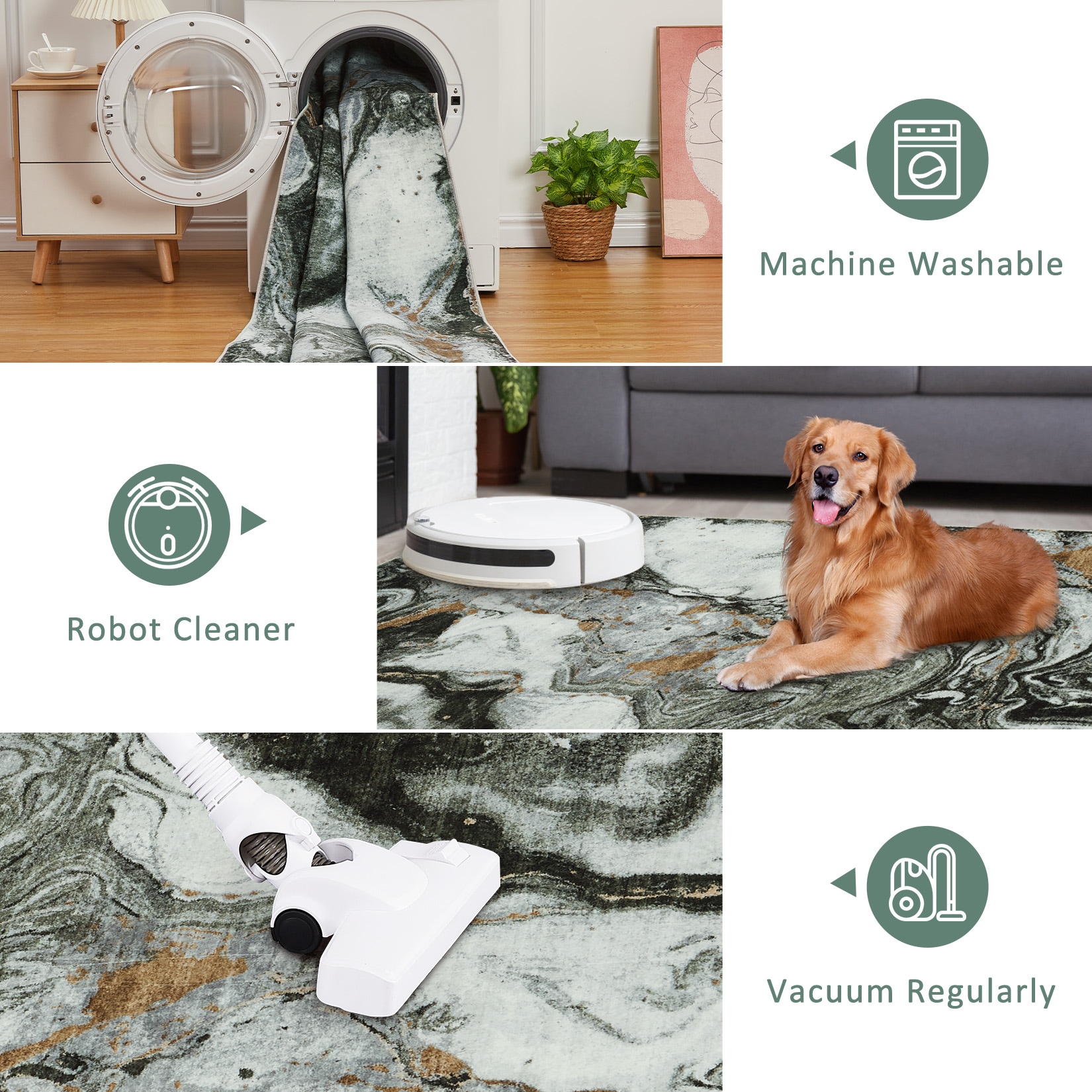 Assile XH260820467 rugs - View #6