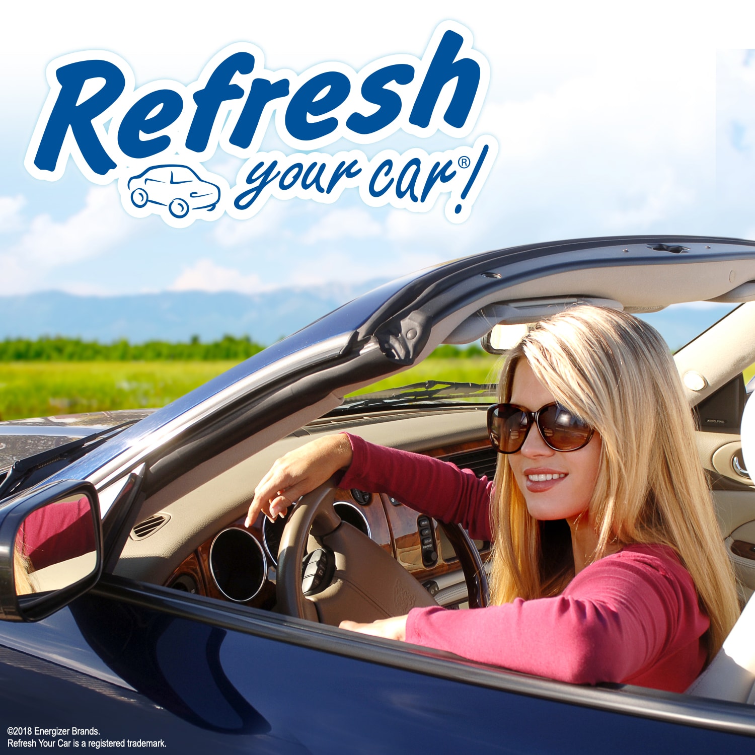 Refresh Your Car! 09872 Air-Fresheners - View #7