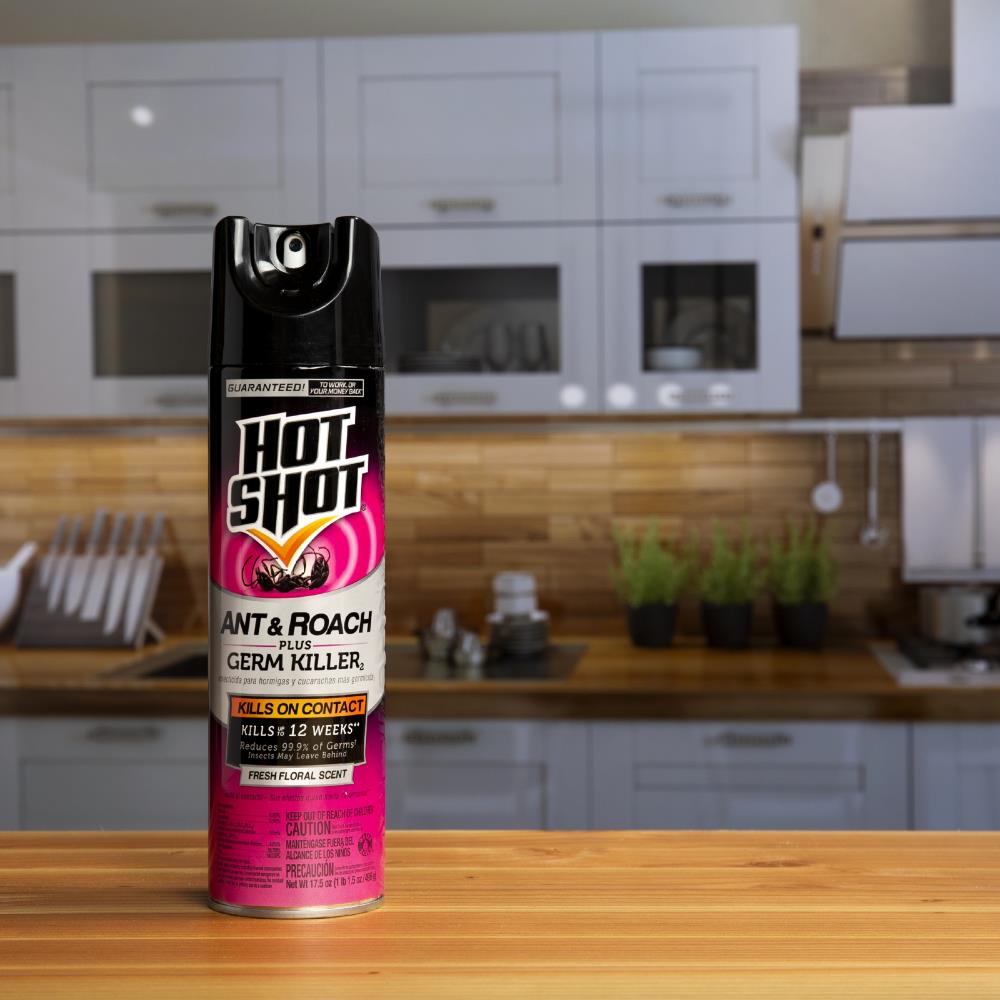 Hot Shot® Ant, Roach And Spider Killer 17.5 Ounce Aerosol Spray, Fresh  Floral Scent, Kills Ants, Roaches, Spiders And Other Listed Insects On  Contact