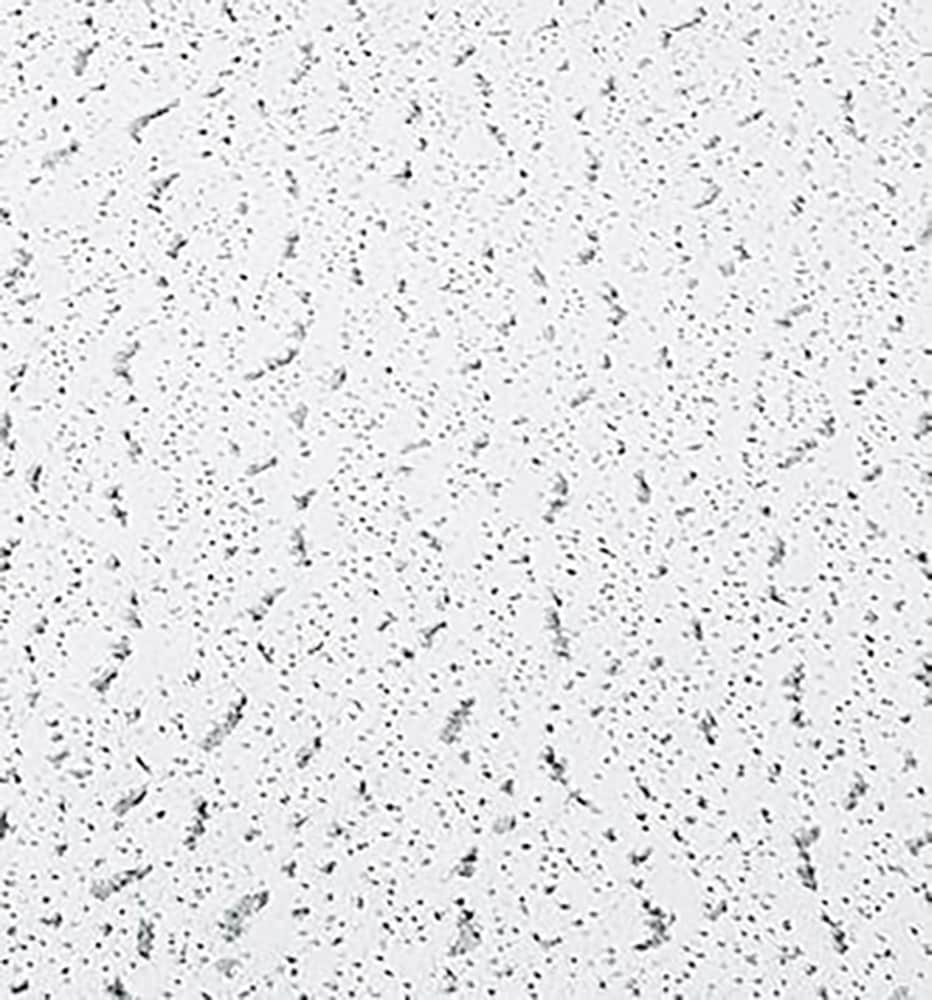 Armstrong Ceilings 2-ft X 2-ft Fissured White Mineral Fiber Drop ...