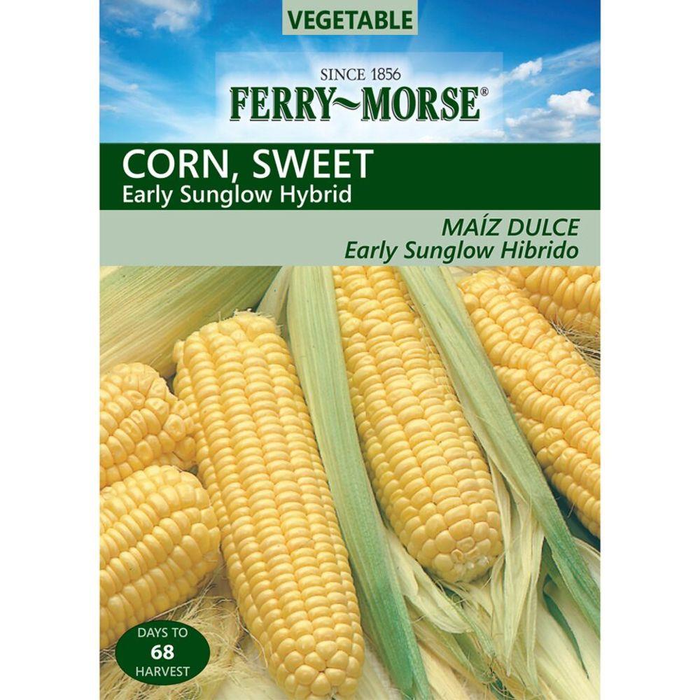Ferry-Morse 473688.158.408352 10-Gram Sweet Corn Early Sunglow Hybrid (L0000)