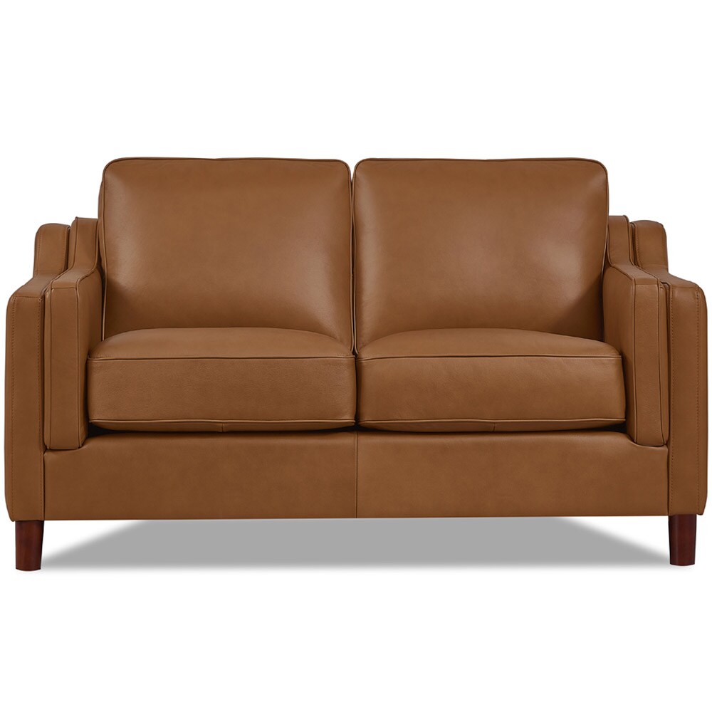 60 2024 leather loveseat