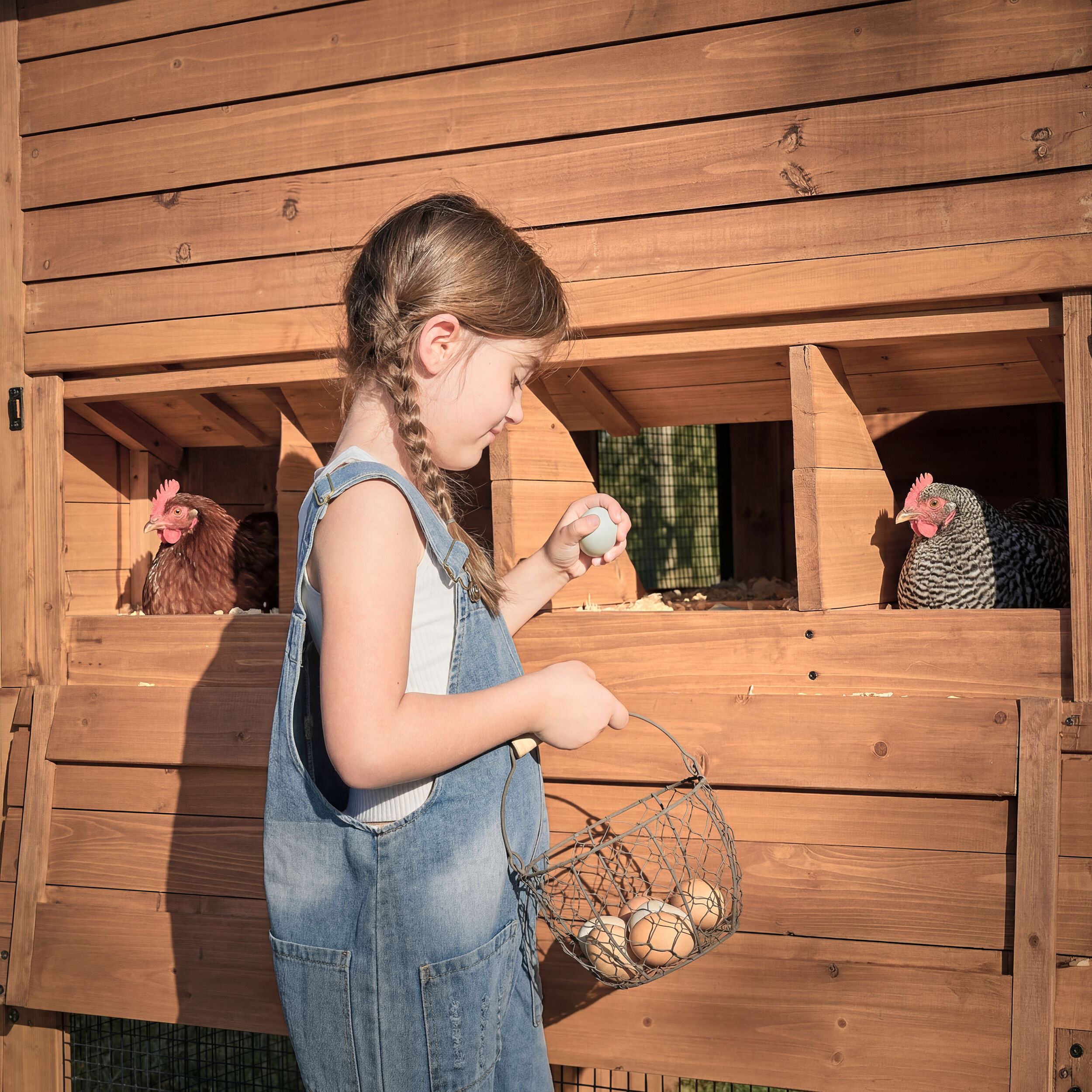 Backyard Discovery 2508019COM Chicken-Coops-Rabbit-Hutches - View #11