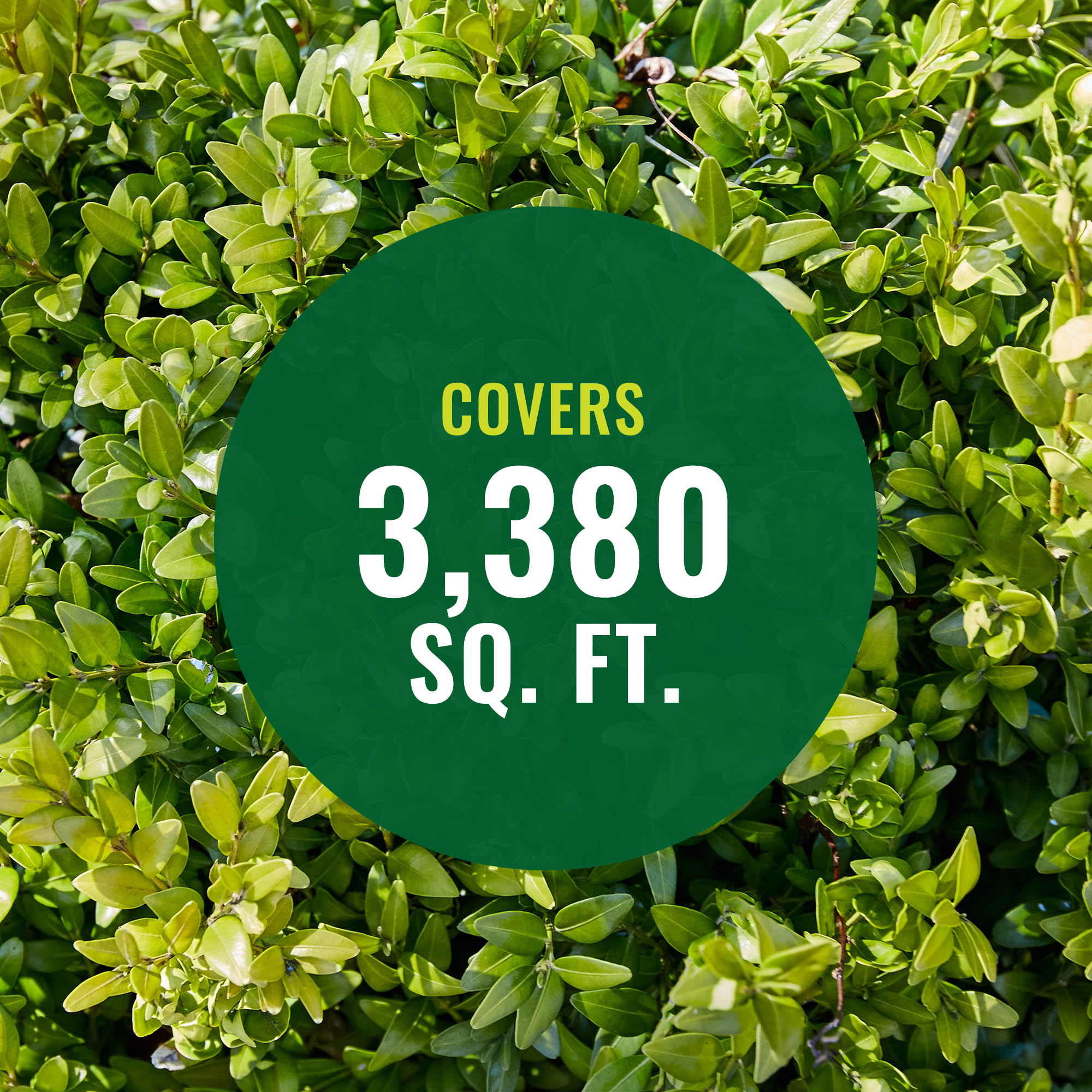 BioAdvanced 820130 repellents - View #6