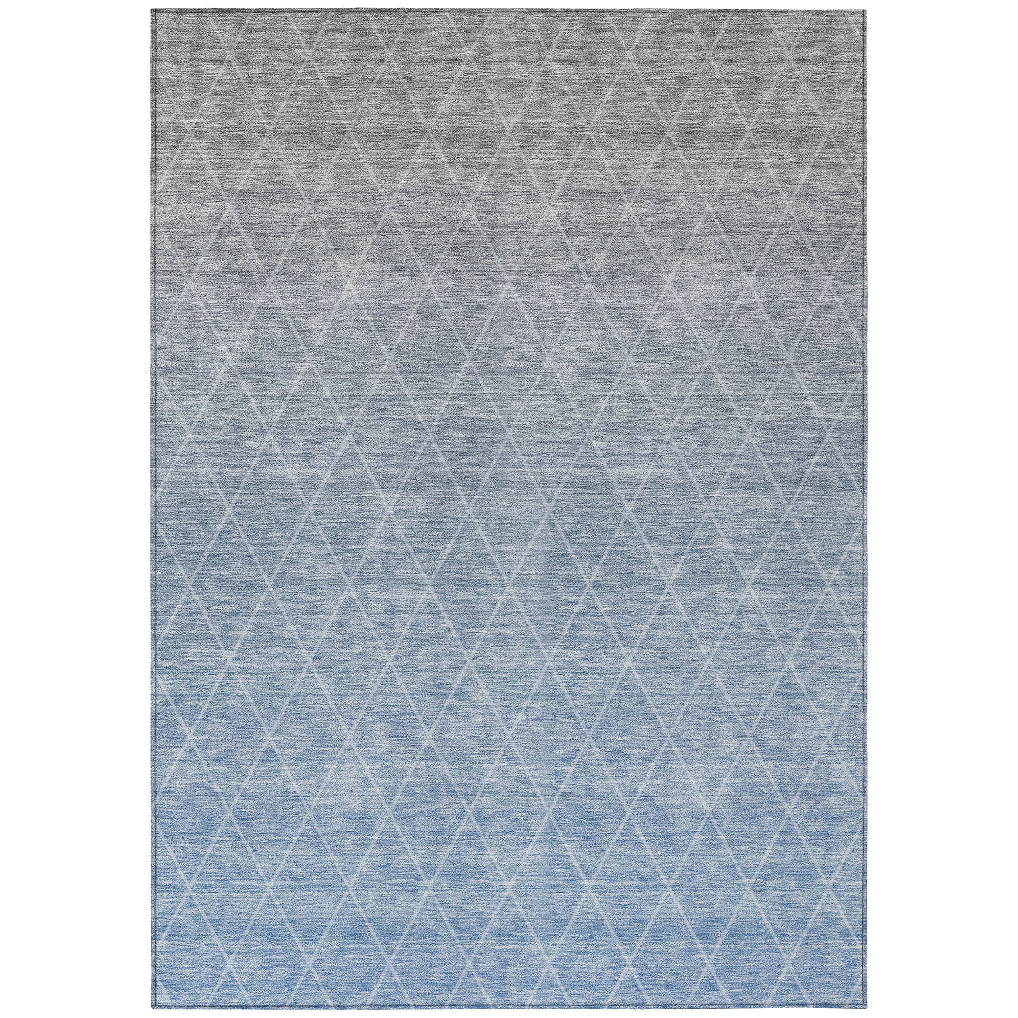 Addison Rugs ACN1175BU30X46 rugs - View #2