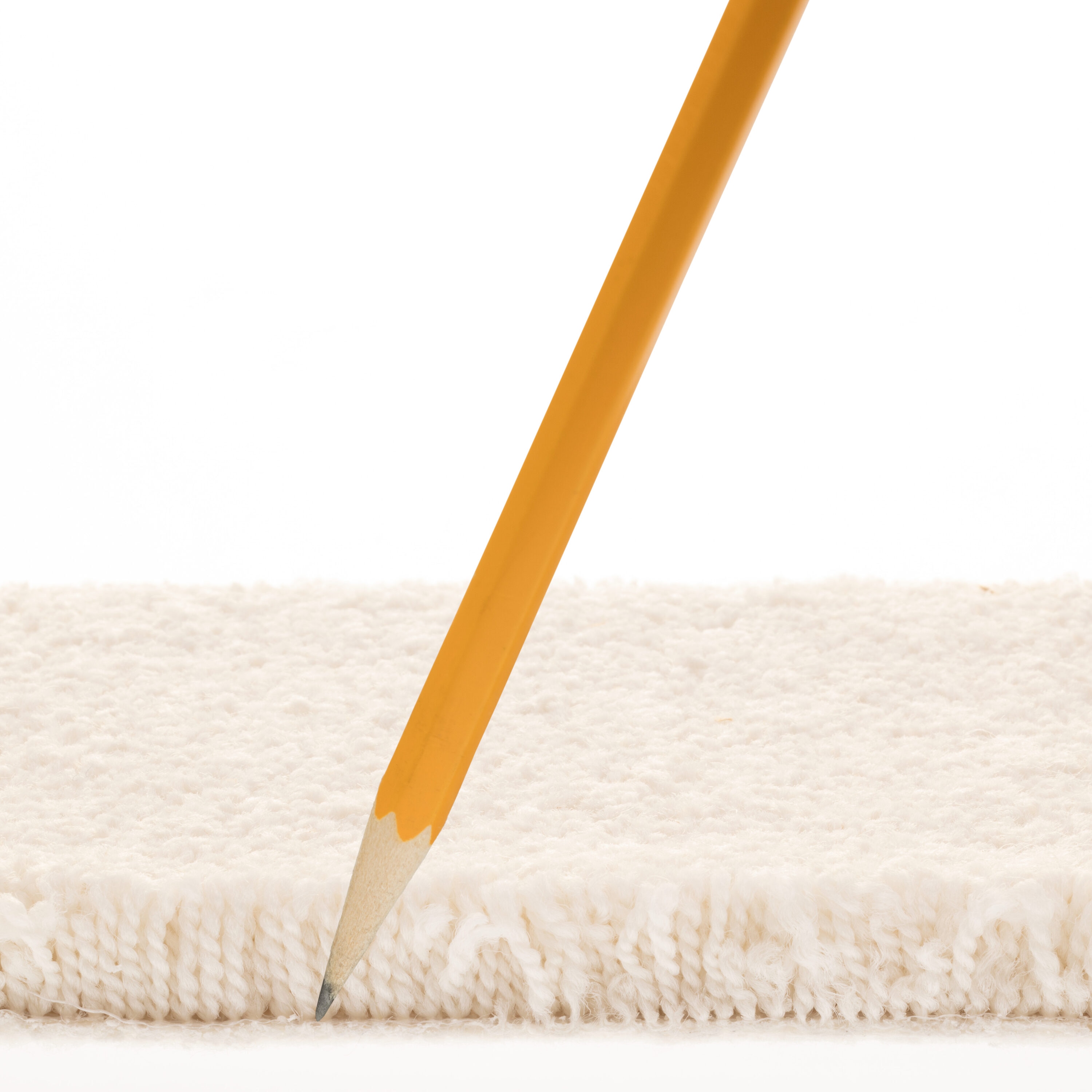STAINMASTER PetProtect 7L881 - 109 - SAMP Carpet-Samples - View #7