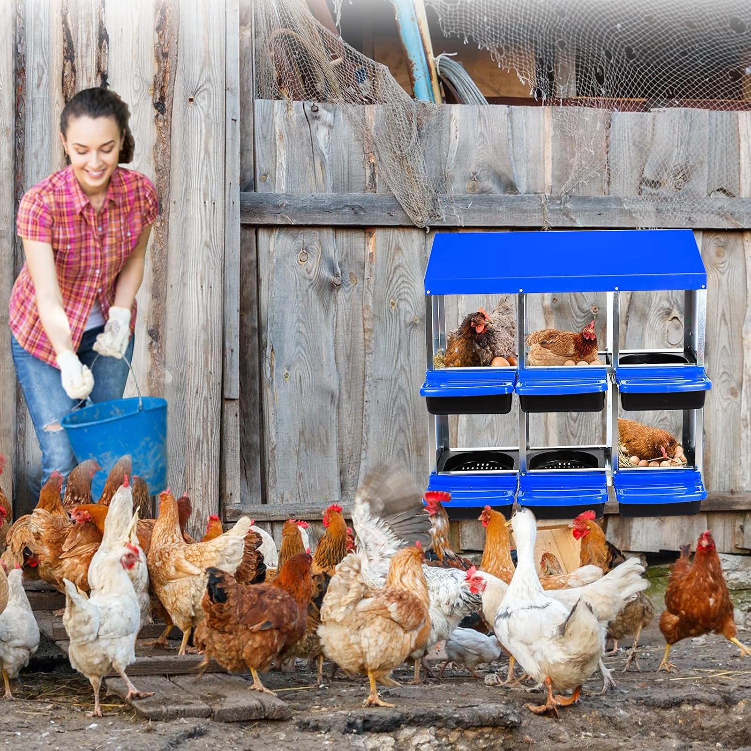 Qeetex GGL-PPG-33CXB3HX 6-Hole Blue Chicken Nesting Box Roll-Away Egg Collection System with Ventilation Holes  Rustproof Plastic Tray Keyhole Mounting  Chicken Laying Box for Hen or Duck