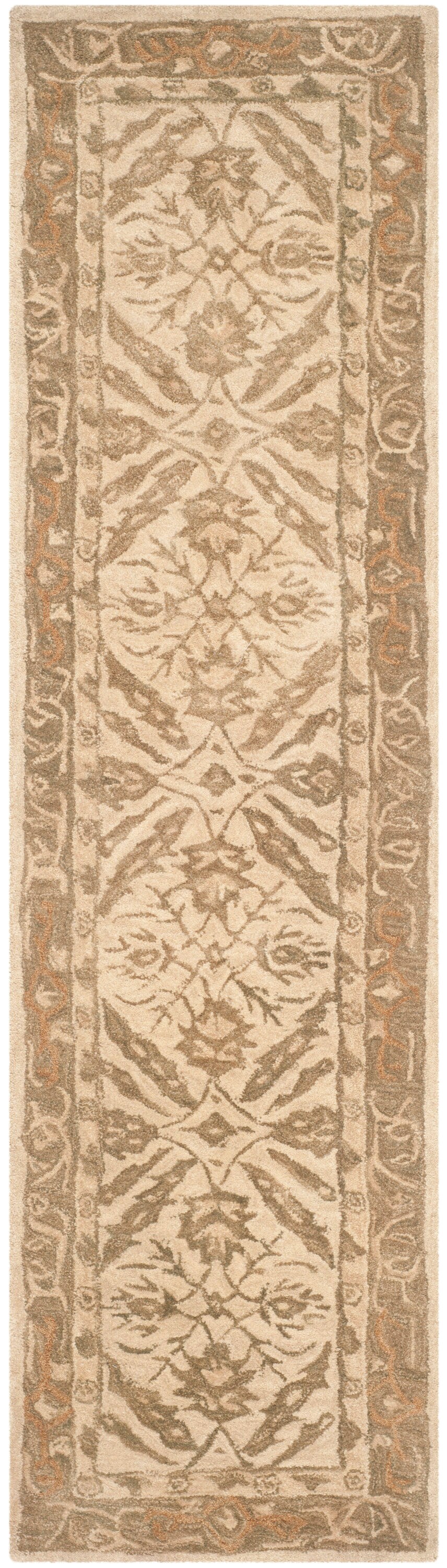Safavieh AN583C-28 rugs - View #2
