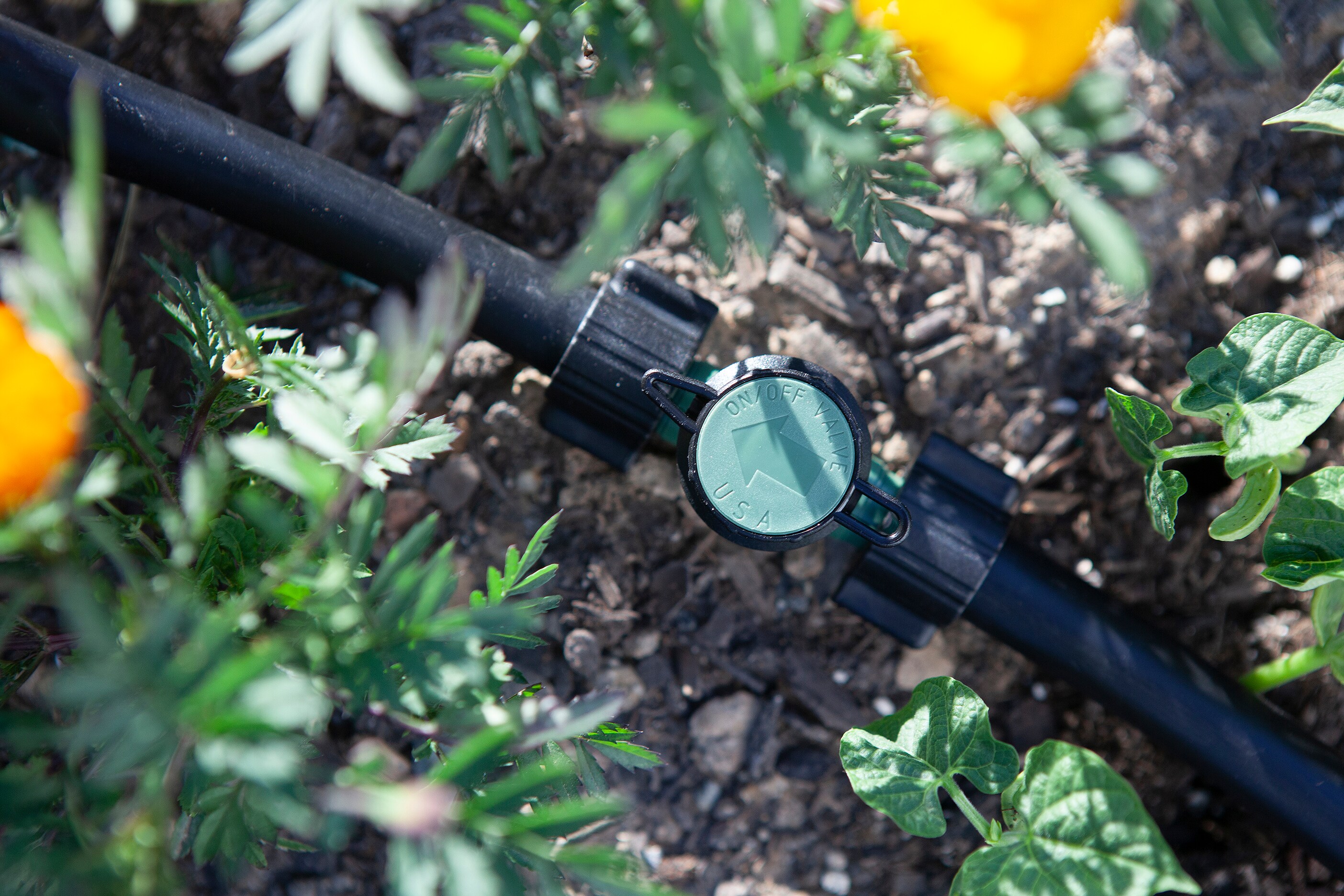 Mister Landscaper MLT-POLYBVA Drip-Irrigation-Valves - View #5