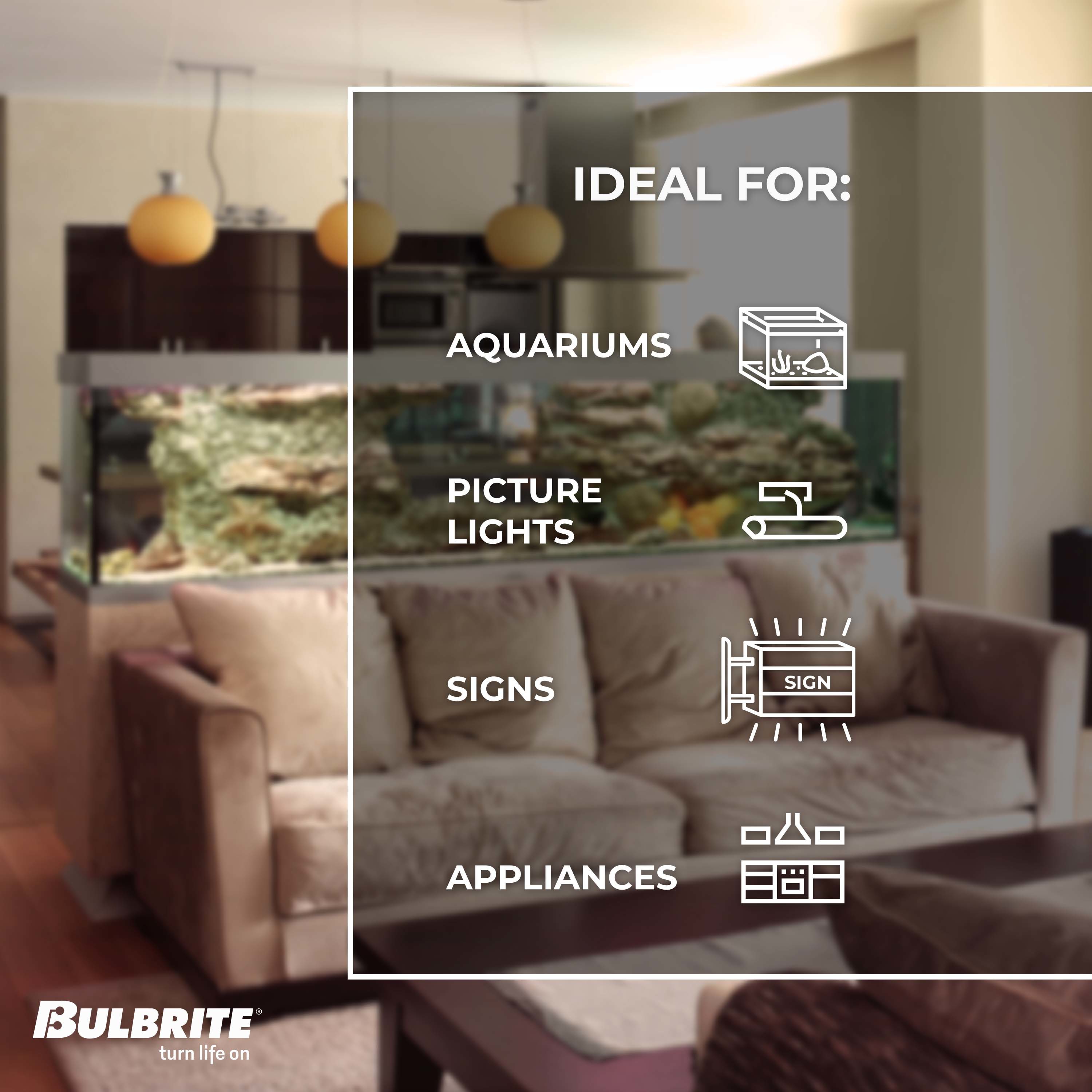 Bulbrite 861212 Led-Lights - View #5
