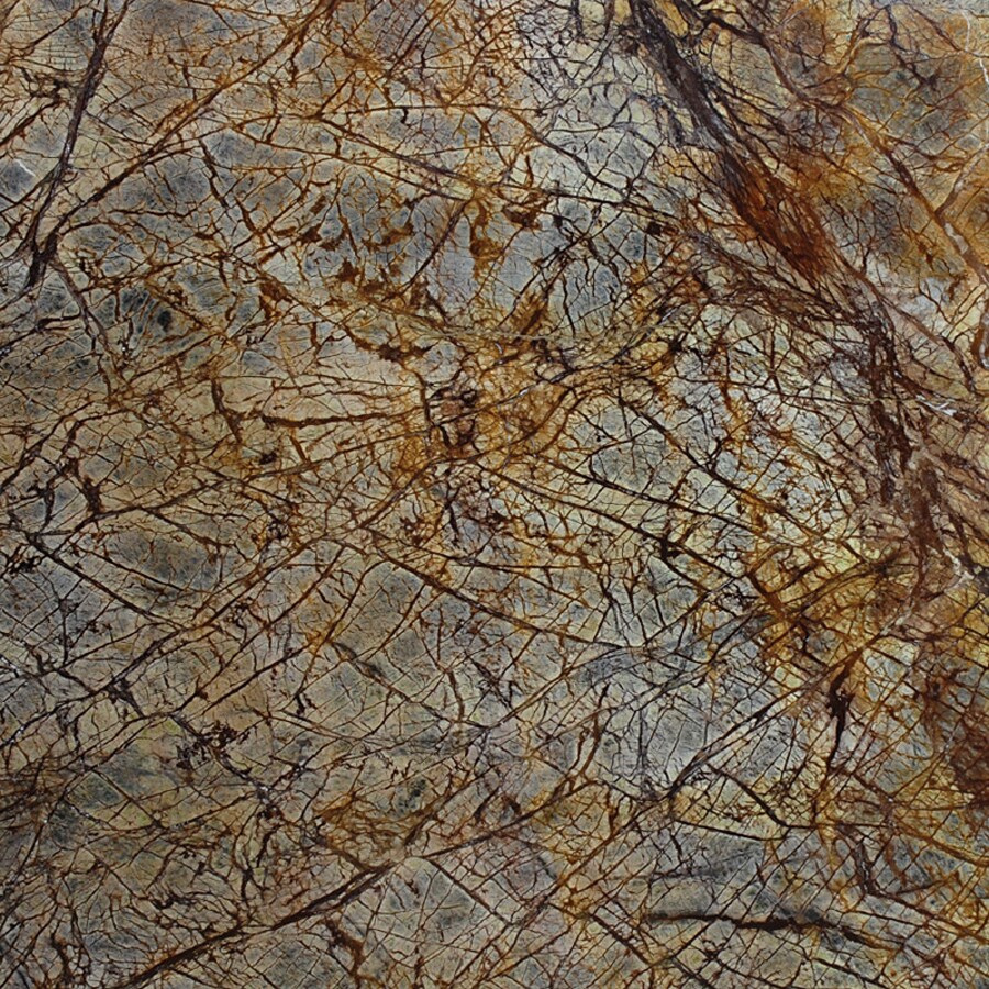 Marble Systems TL12713 NBS Rainforest Brown 2-in x 12-in Polished Natural Stone Marble Floor and Wall Tile (10-sq. ft/ Carton)