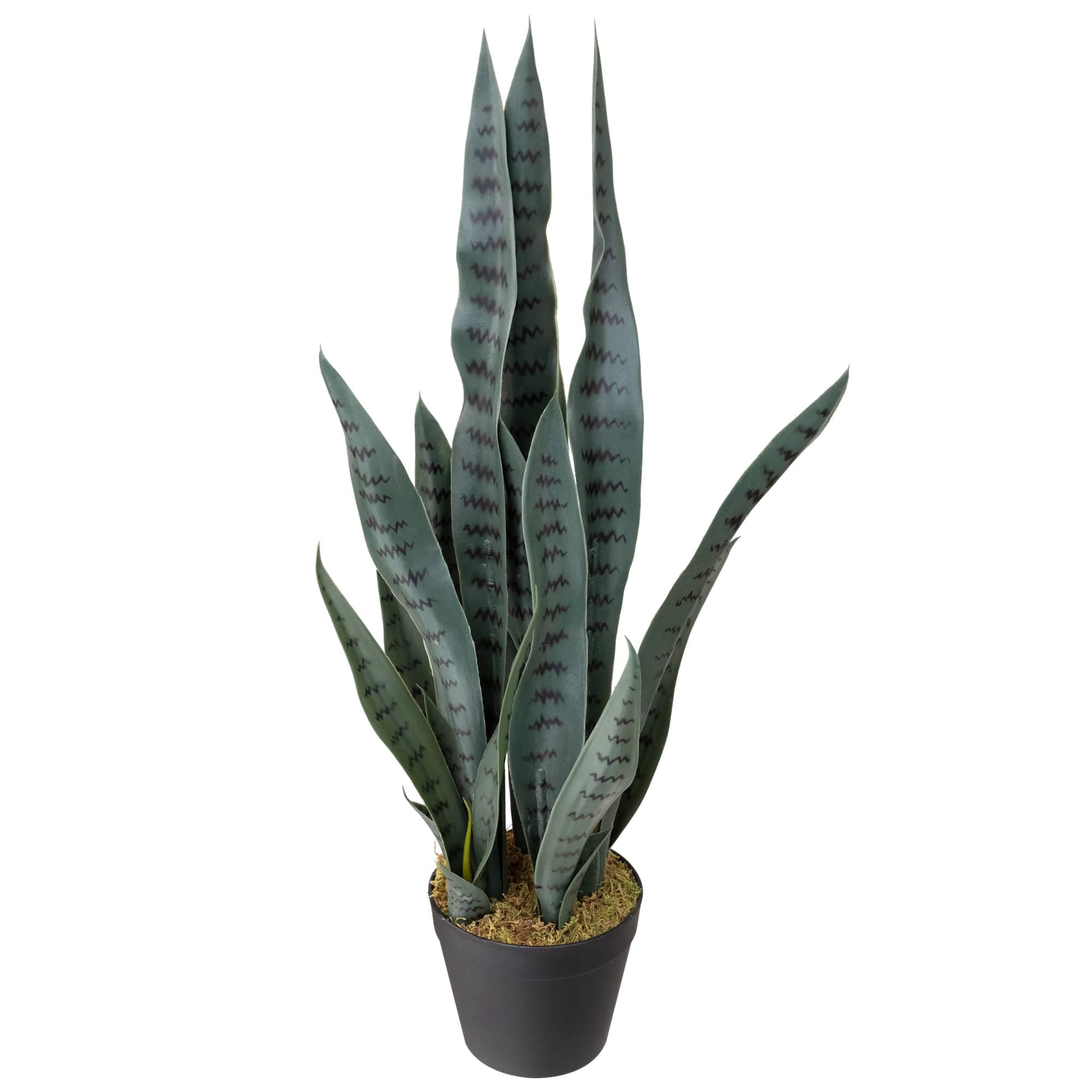 Northlight NORTHLIGHT WN26584 Artificial-Plants-Trees - View #5
