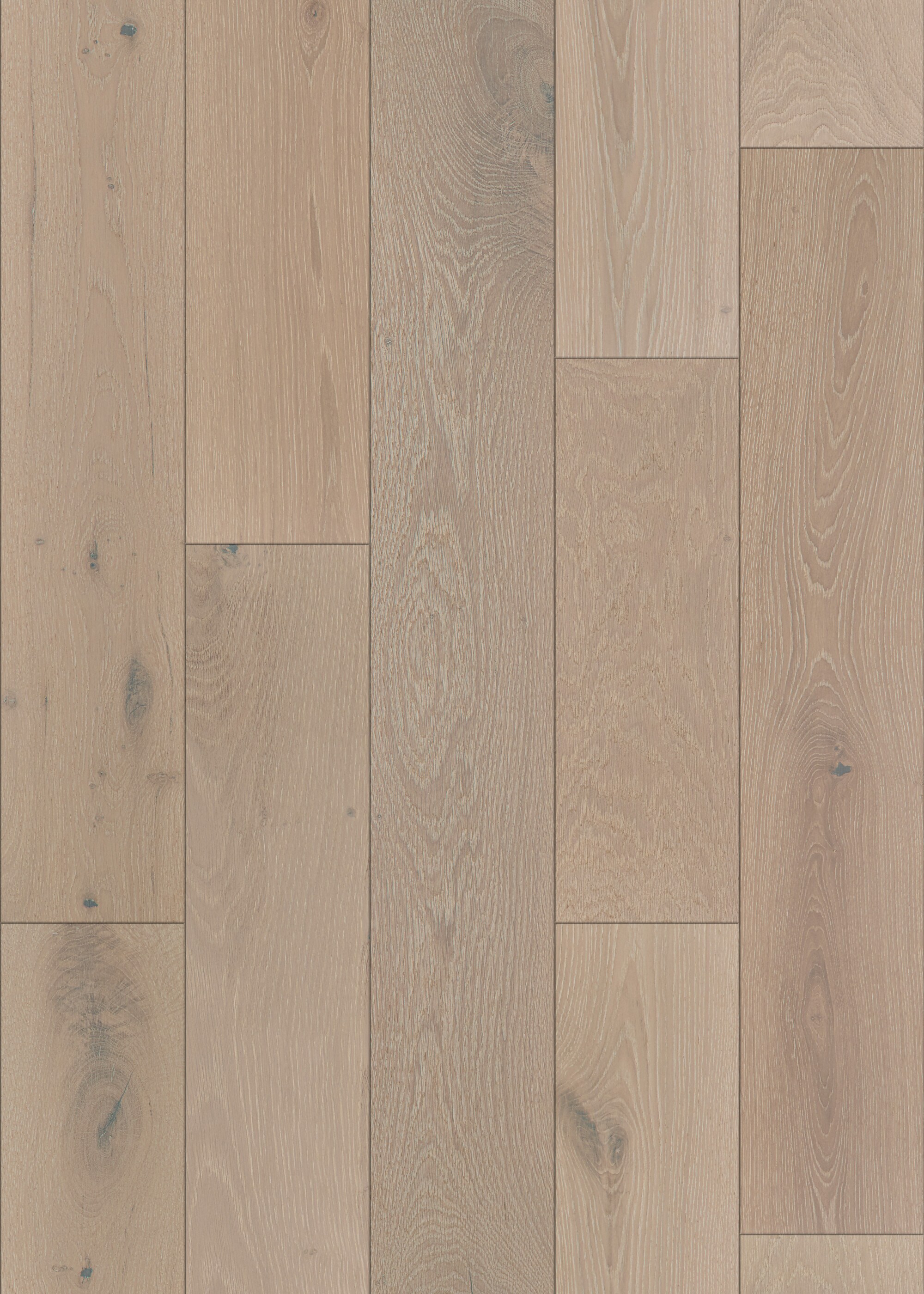 Shaw LX77401077 Wood-Floors - View #6