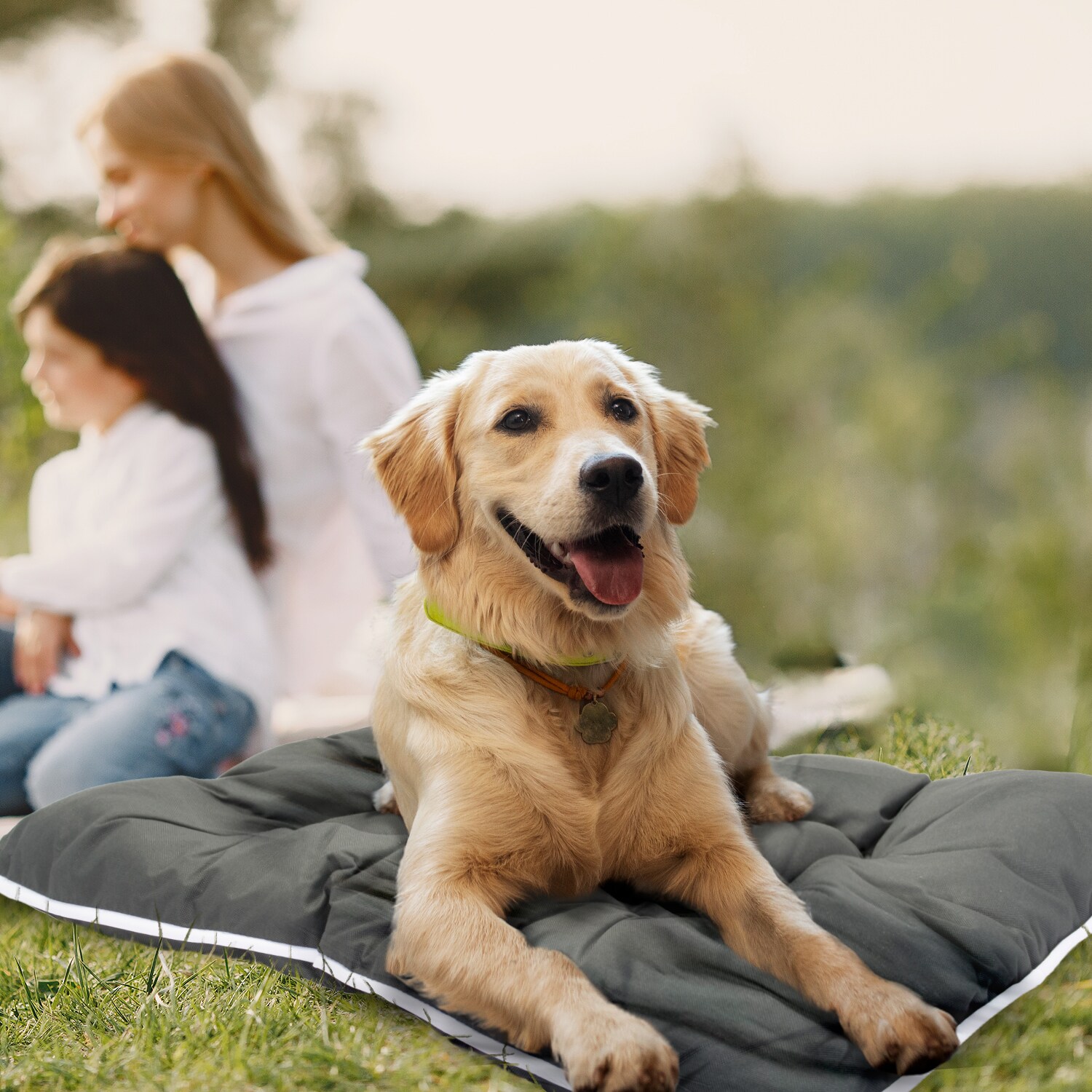 Precious Tails 3627BTKM-GRW Pet-Beds - View #7