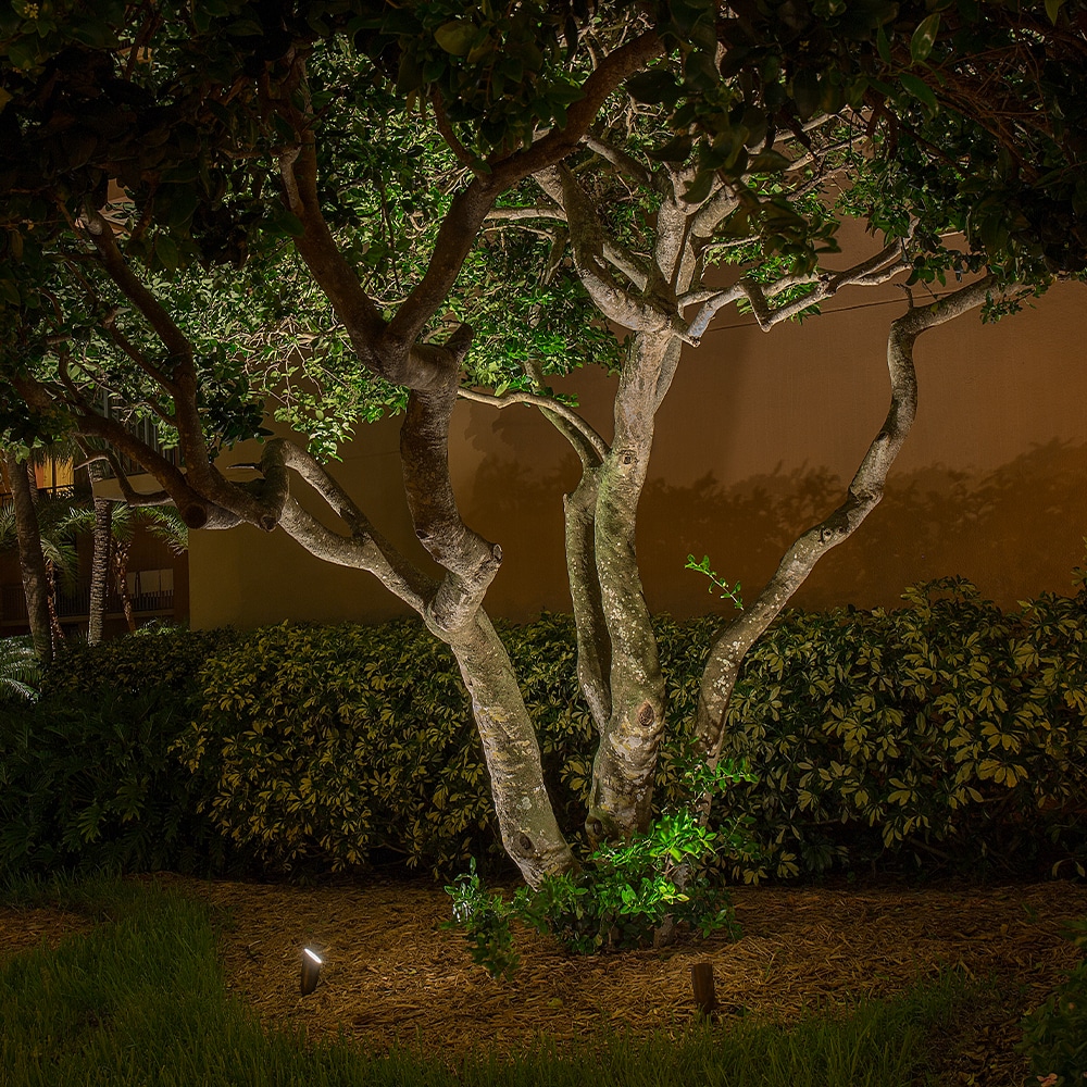 VOLT Outdoor Lighting 5 Watt Bronze Low Voltage Hardwired LED Spot Light LOWAL 2100 4 BBZ at Lowes