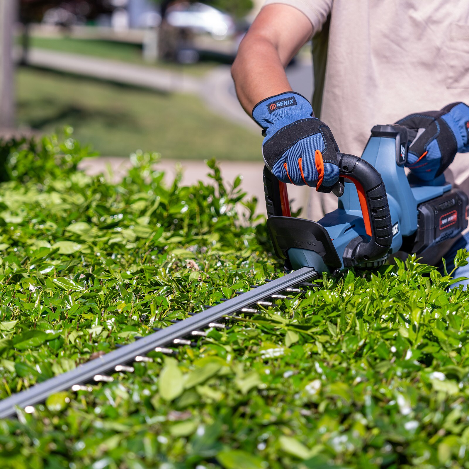 SENIX HTX6-M1 Cordless-Hedge-Trimmers - View #16