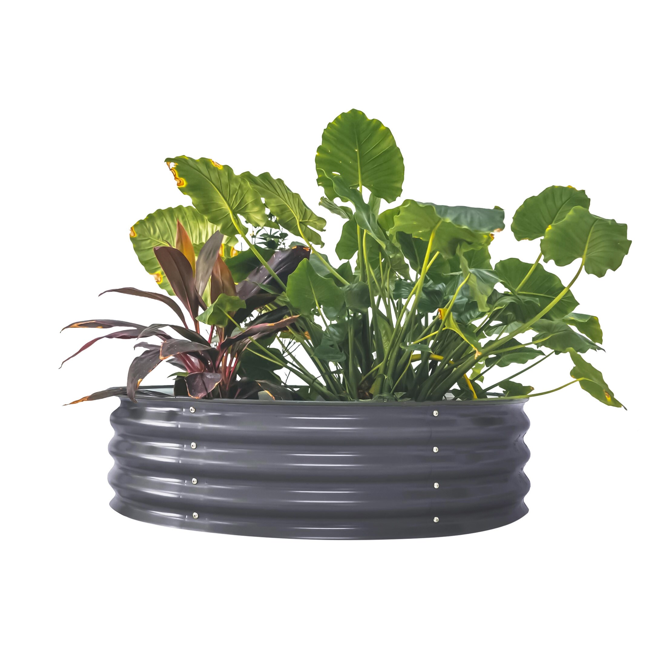 Vego Garden VRB4211MG 9-cu ft 42-in W x 42-in L x 11-in H Modern Gray Galvanized Metal Raised Garden Bed