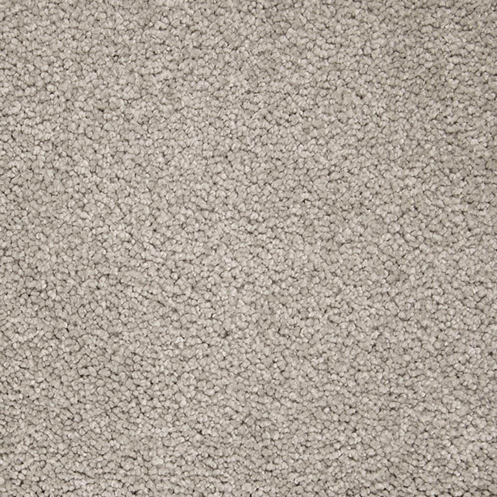 STAINMASTER PetProtect STP55-L007-0808 (Sample) Purrfectly Pampered City Loft Gray 60-oz sq yard Triexta Textured Indoor Carpet