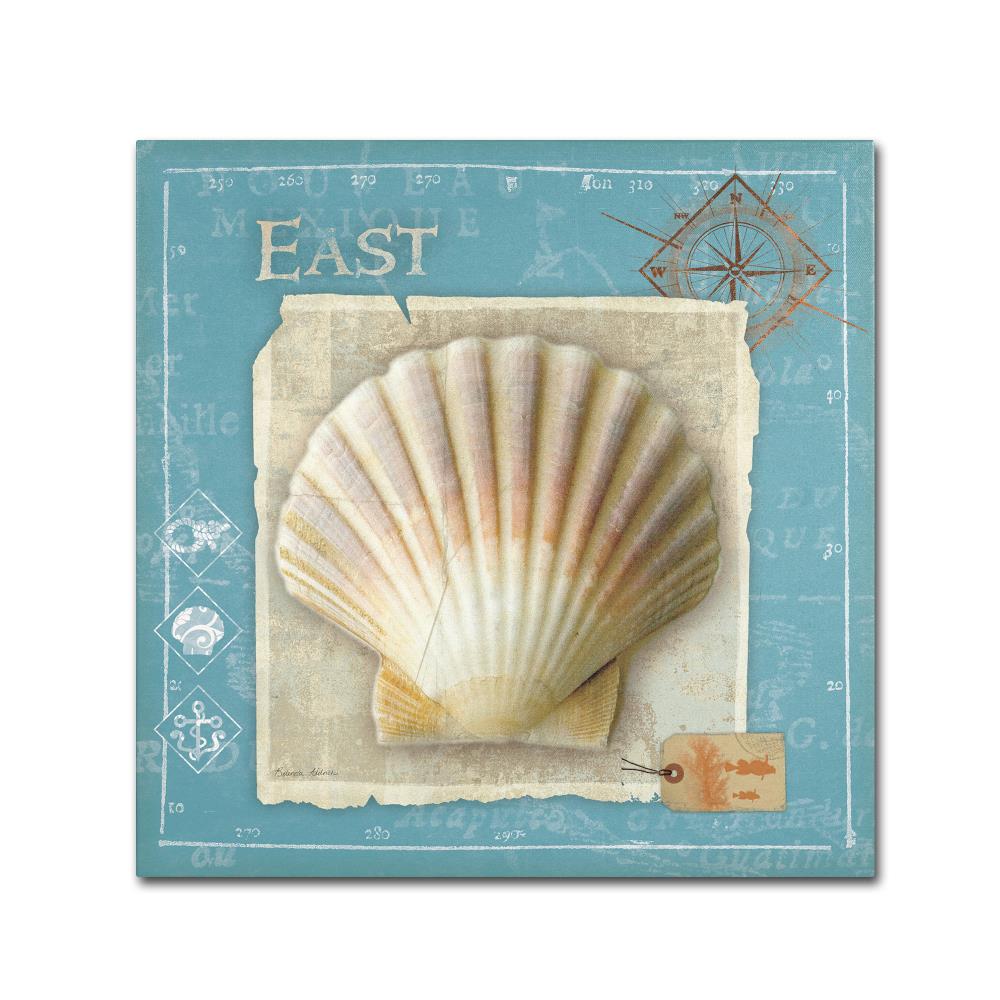 Scallop Shell Wall Hanging Decor 19”