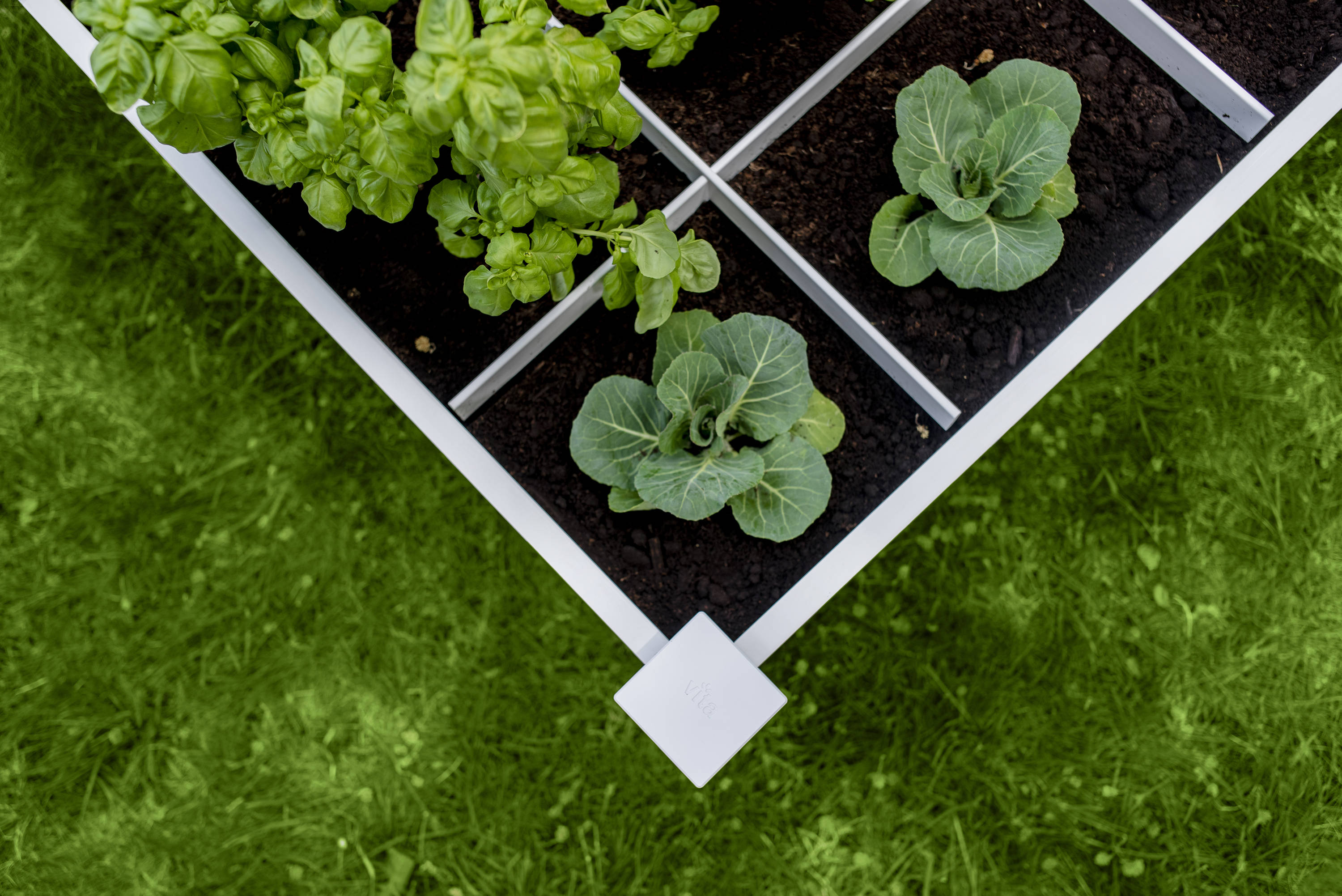 Vita VT17103 Raised-Garden-Beds - View #4
