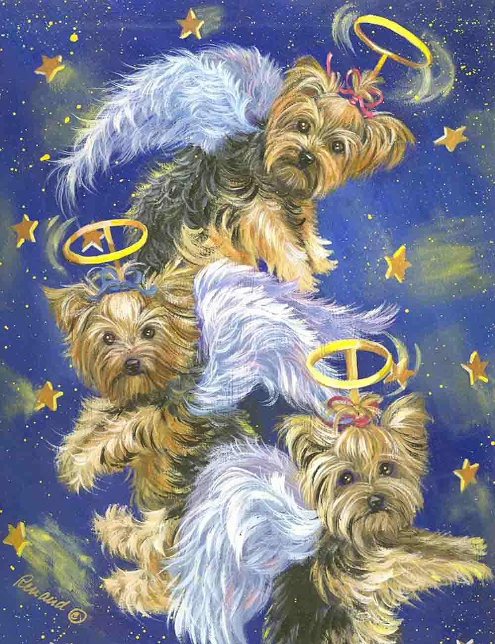 Precious Pet Paintings Yorkshire Terrier 1.04-ft W x 1.5-ft H Flag at ...