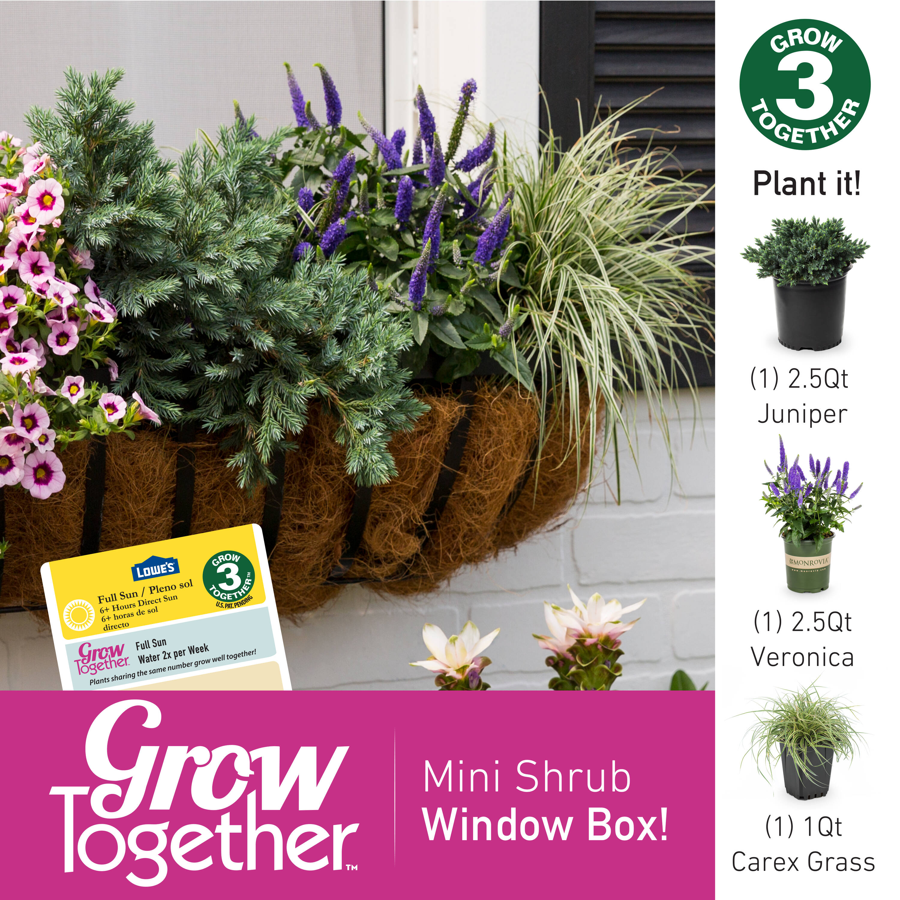 Monrovia NURSERY perennials - View #4